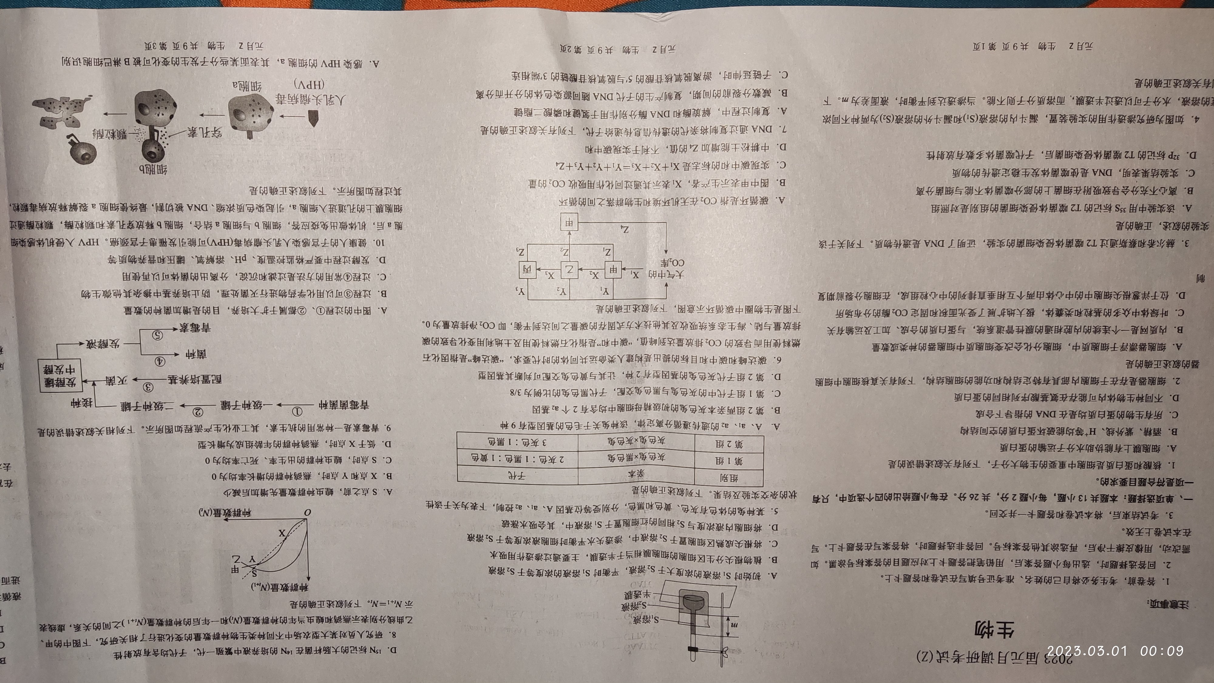 2024届杭州一模高三10月联考生物试卷答案