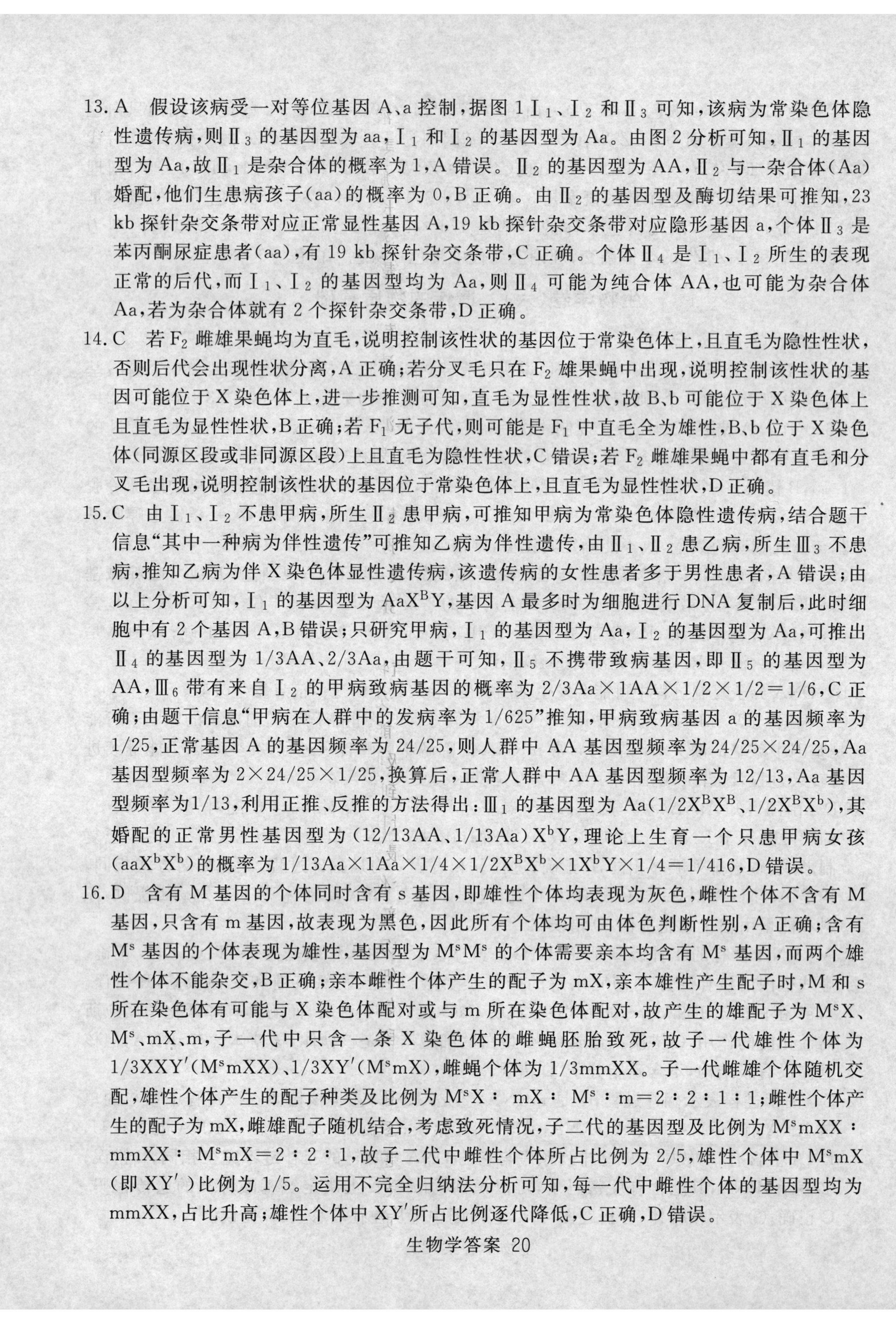 河南省九年级2023-2024学年度综合素养评估（二）【R-PGZX C HEN】生物试卷答案