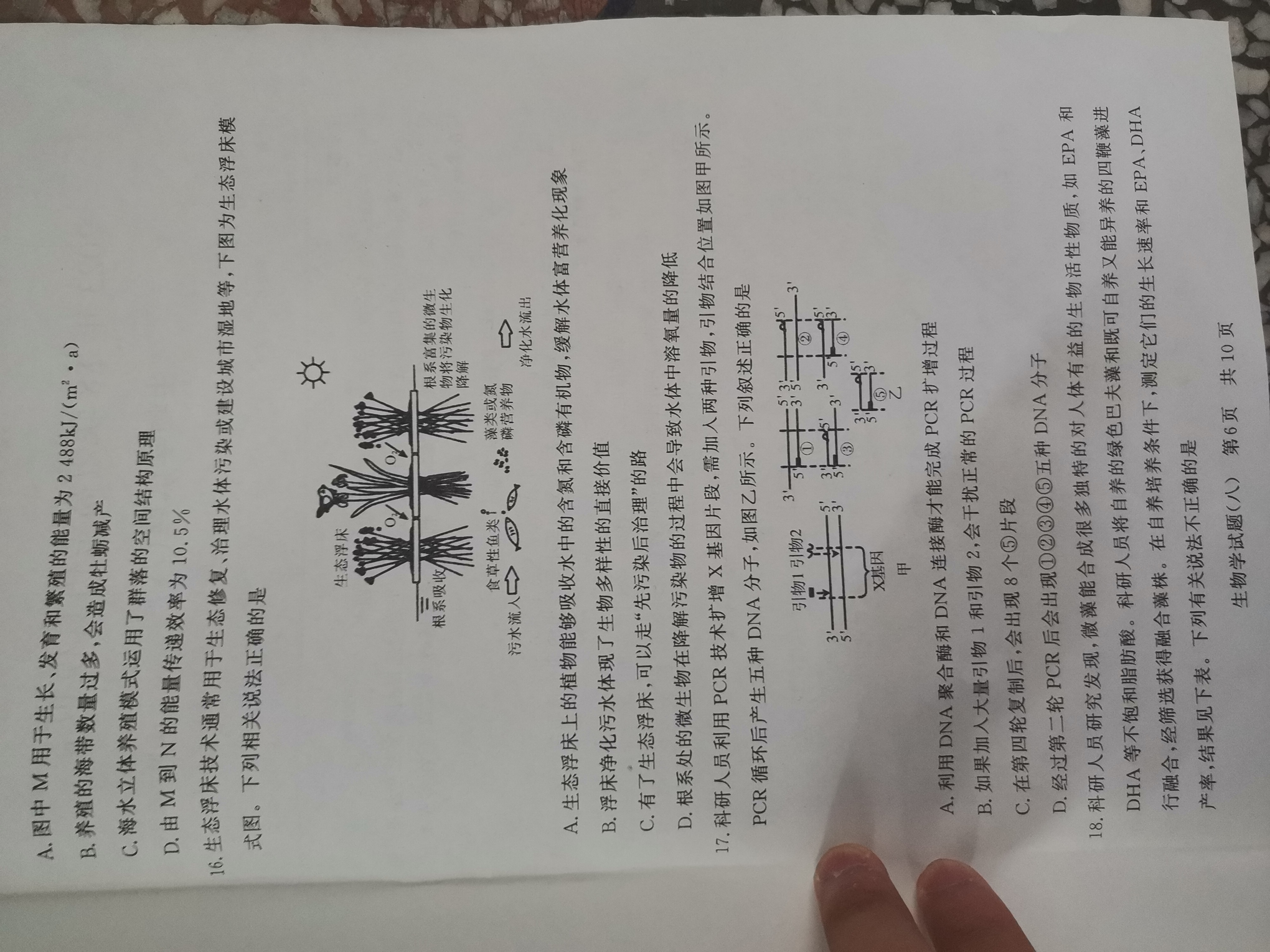 ［绵阳一诊］绵阳市高中2021级第一次诊断性考试生物试卷答案