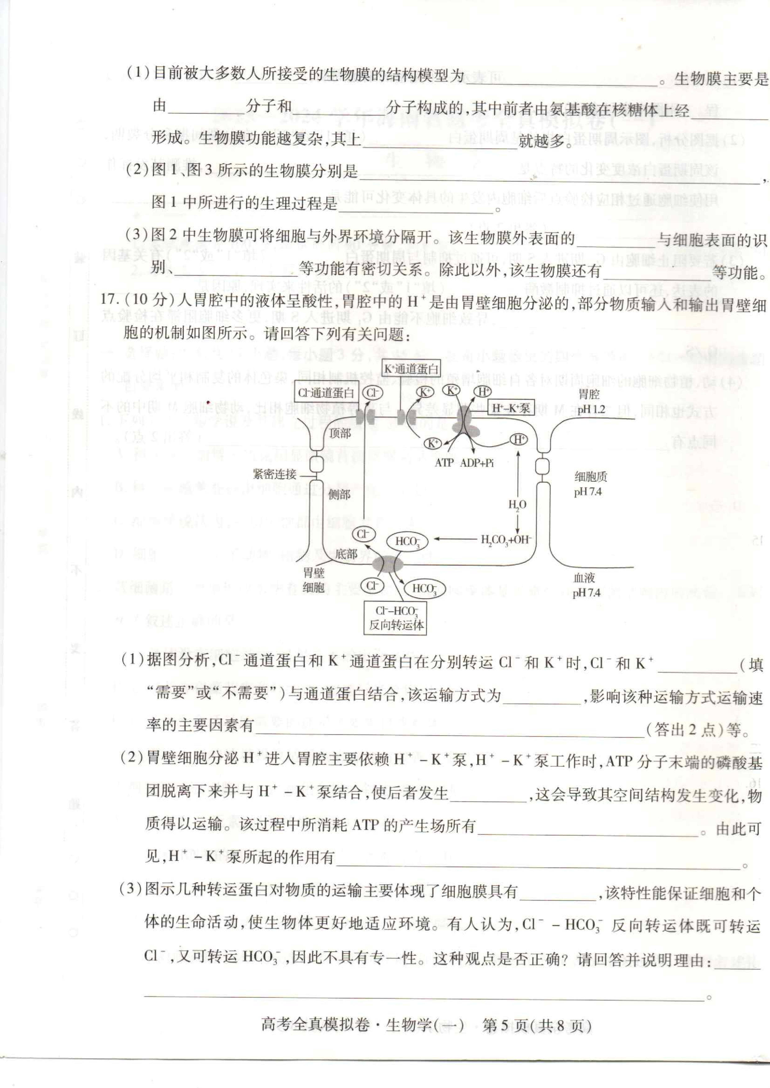 衡水金卷先享题分科综合卷2023年普通高等学校招生全国统一考试模拟试题生物一