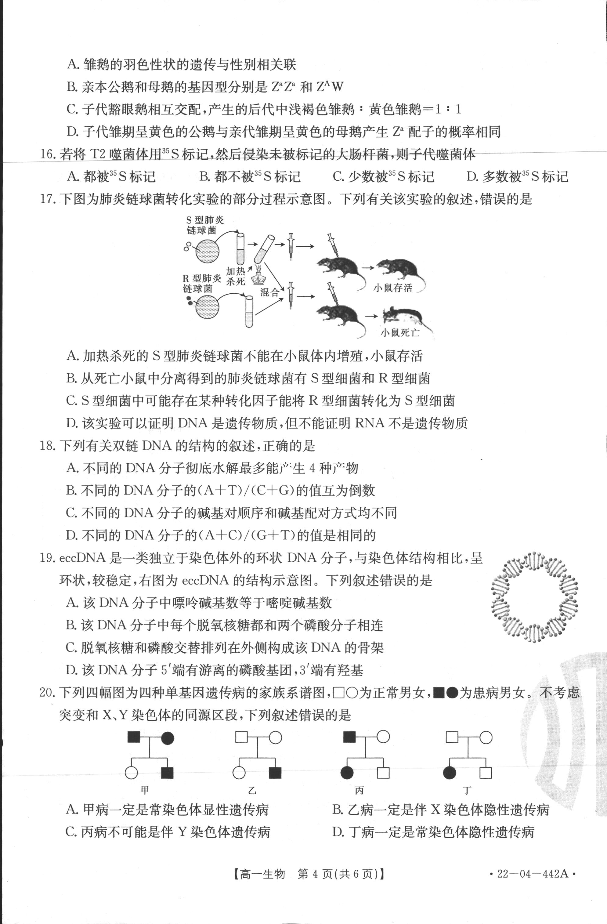 [百师联盟]2024届高三一轮复习联考(一)1 生物(河北卷)答案