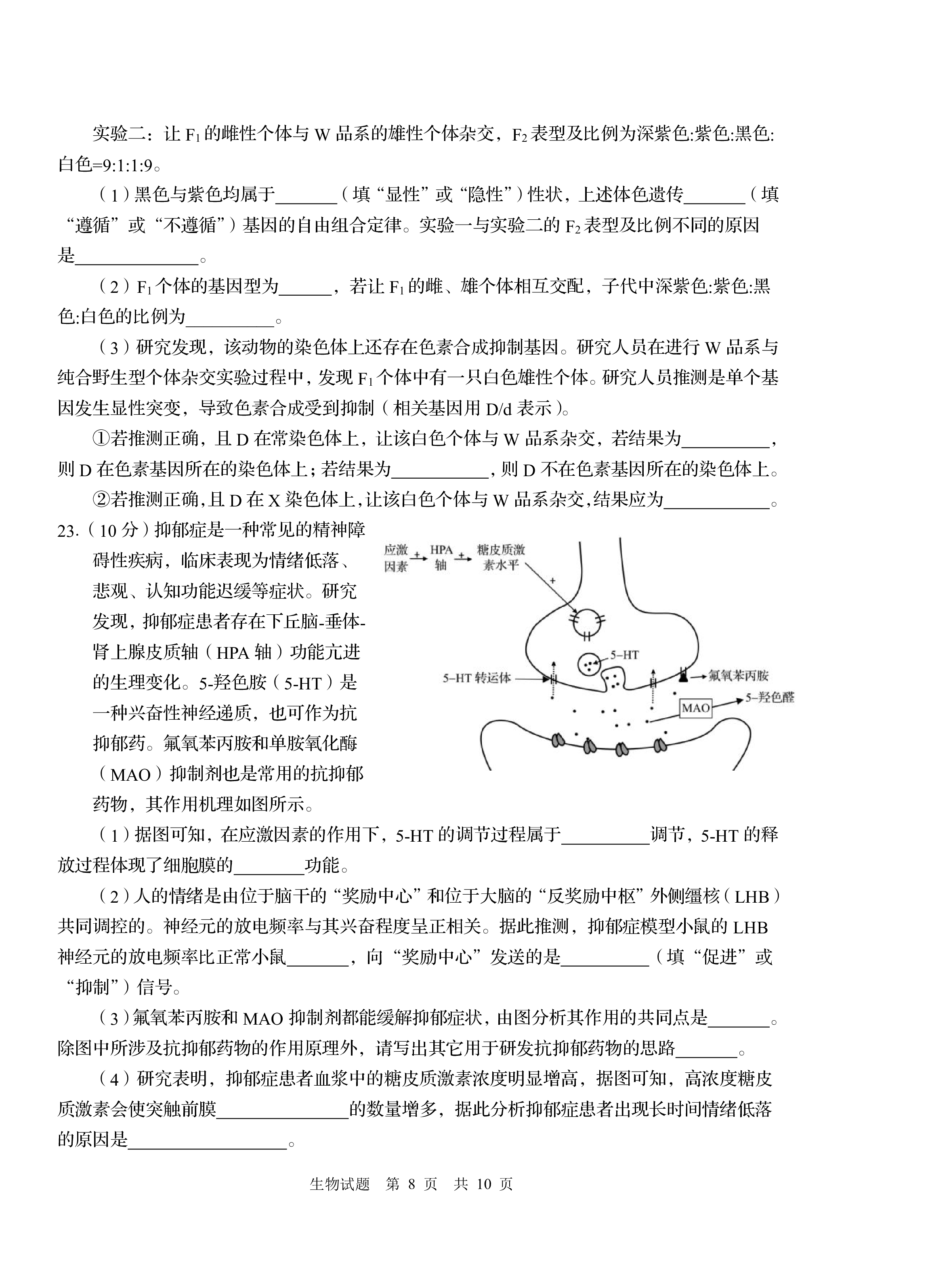 河南省2023-2024学年度九年级上学期期中综合评估【2LR】生物试卷答案