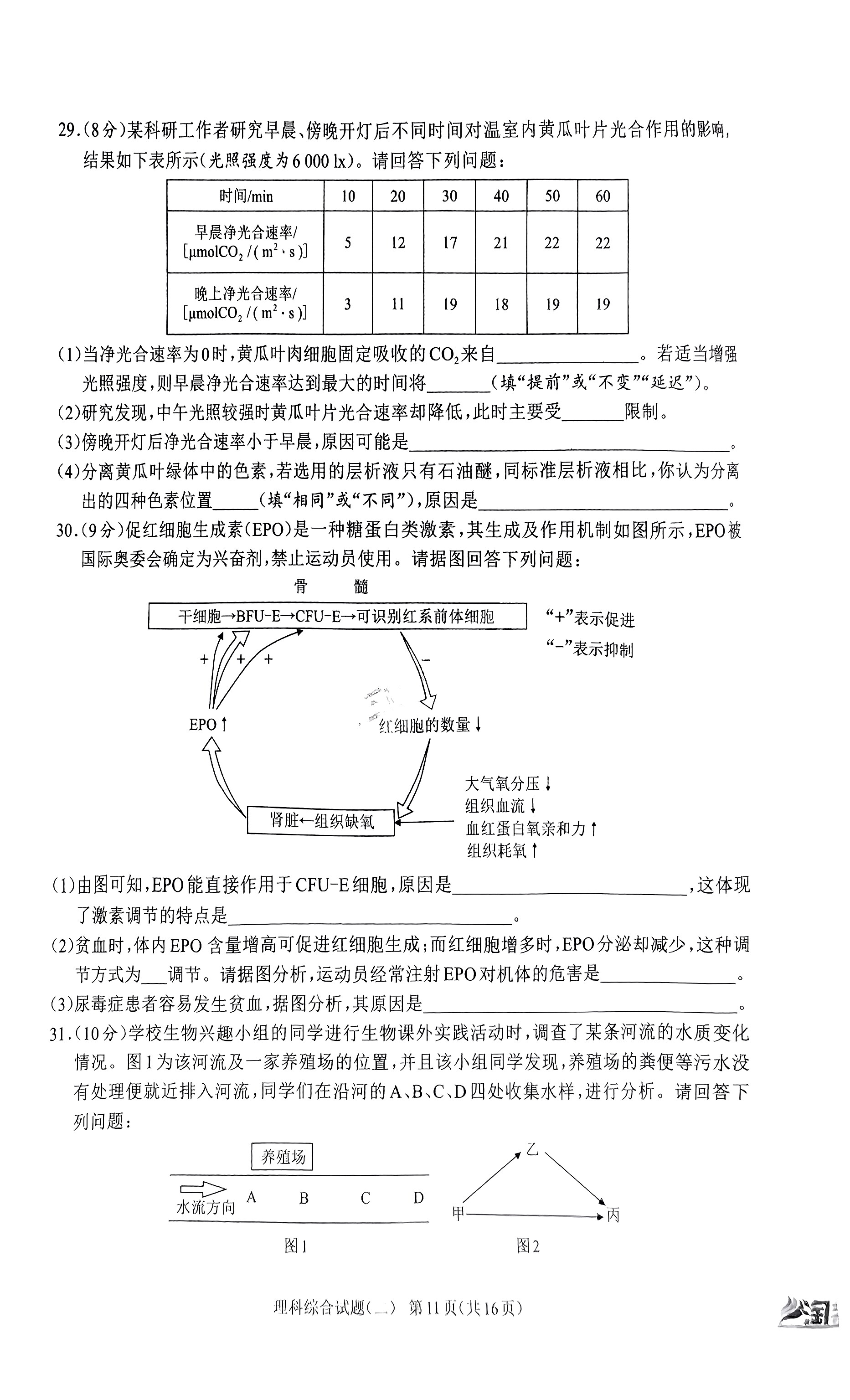 [百师联盟]2024届高三仿真模拟考试(二)2理科综合(新教材)答案
