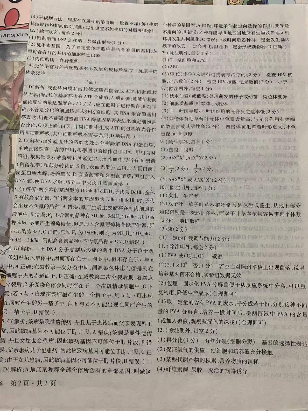 天一大联考·皖豫名校联盟 2024届高中毕业班第一次考试生物答案