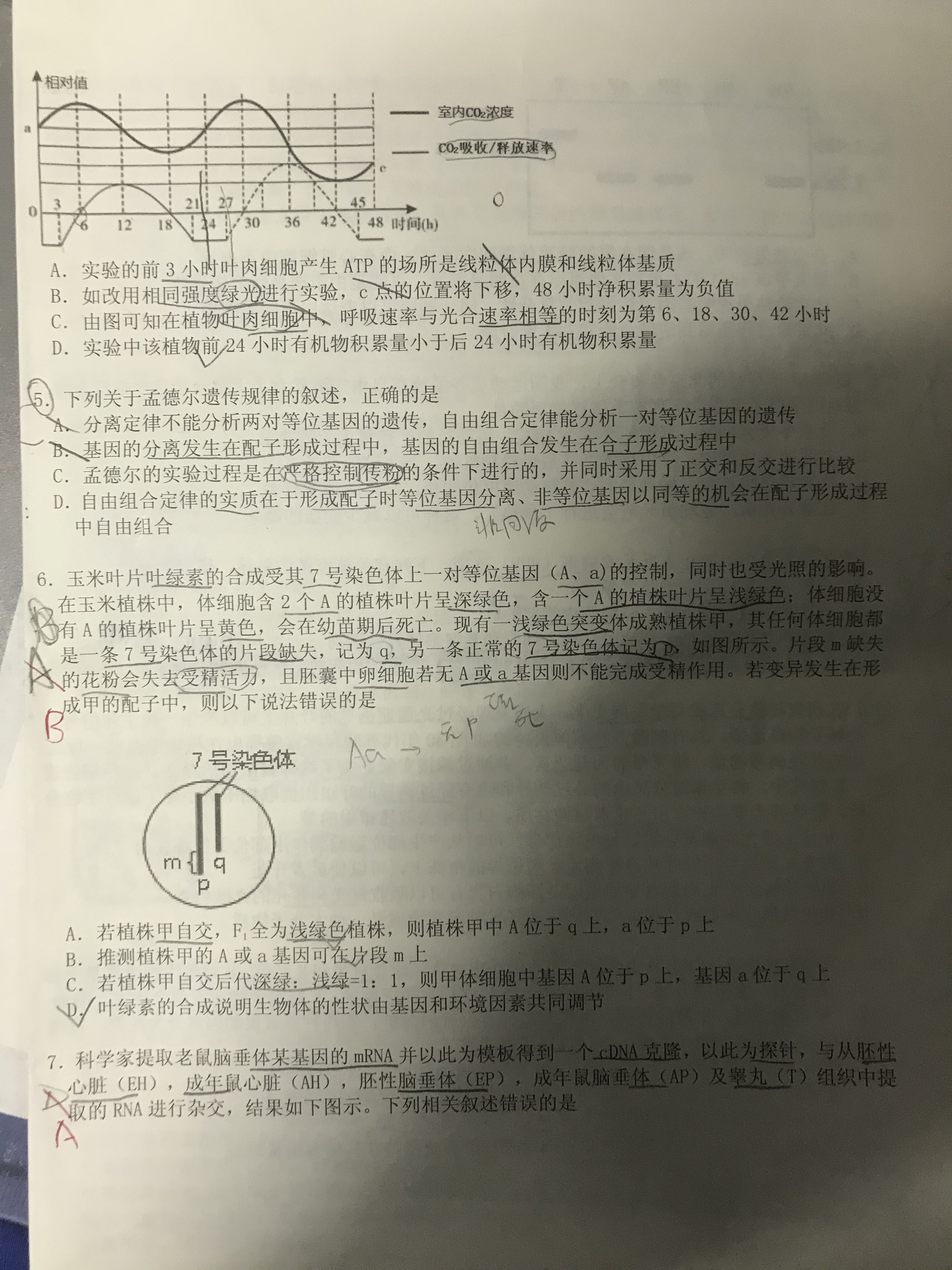 [百师联盟]2024届高三一轮复习联考(一)1 生物(湖北卷)答案