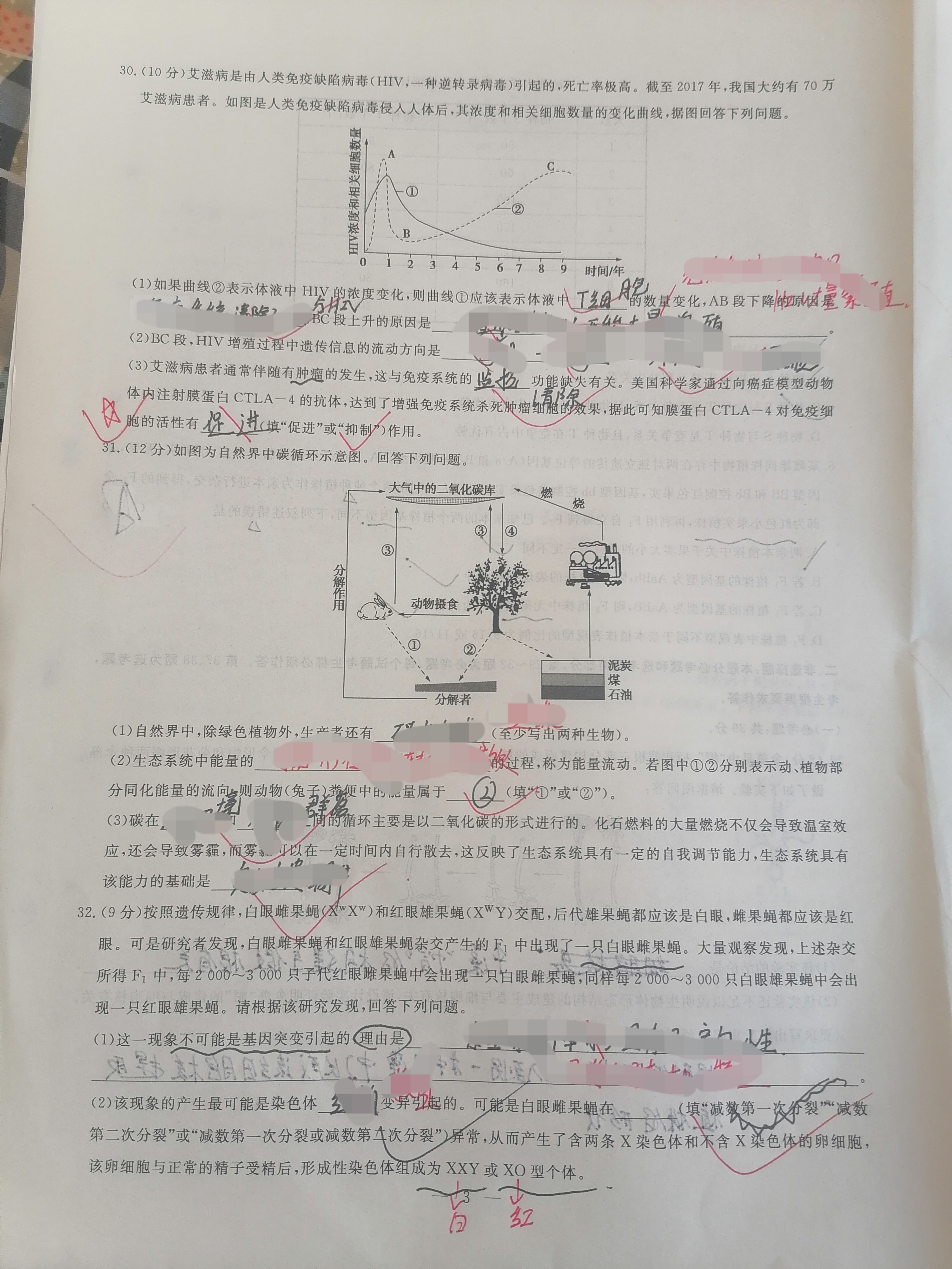 国考1号4·第4套·2024届高三阶段性考试(一)生物答案