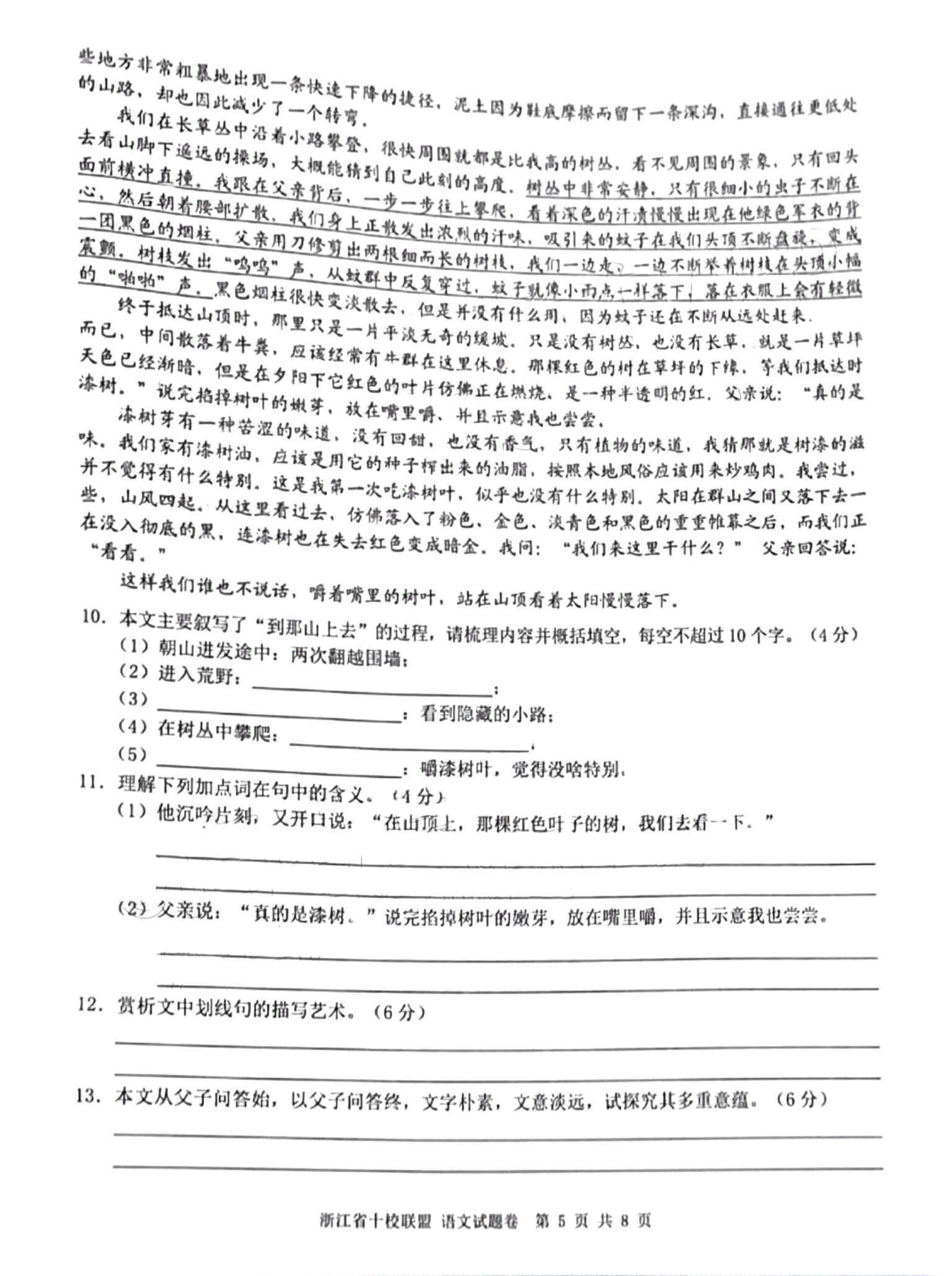 2024年衡水金卷先享题 分科综合卷[新教材]思想语文(一)1试题