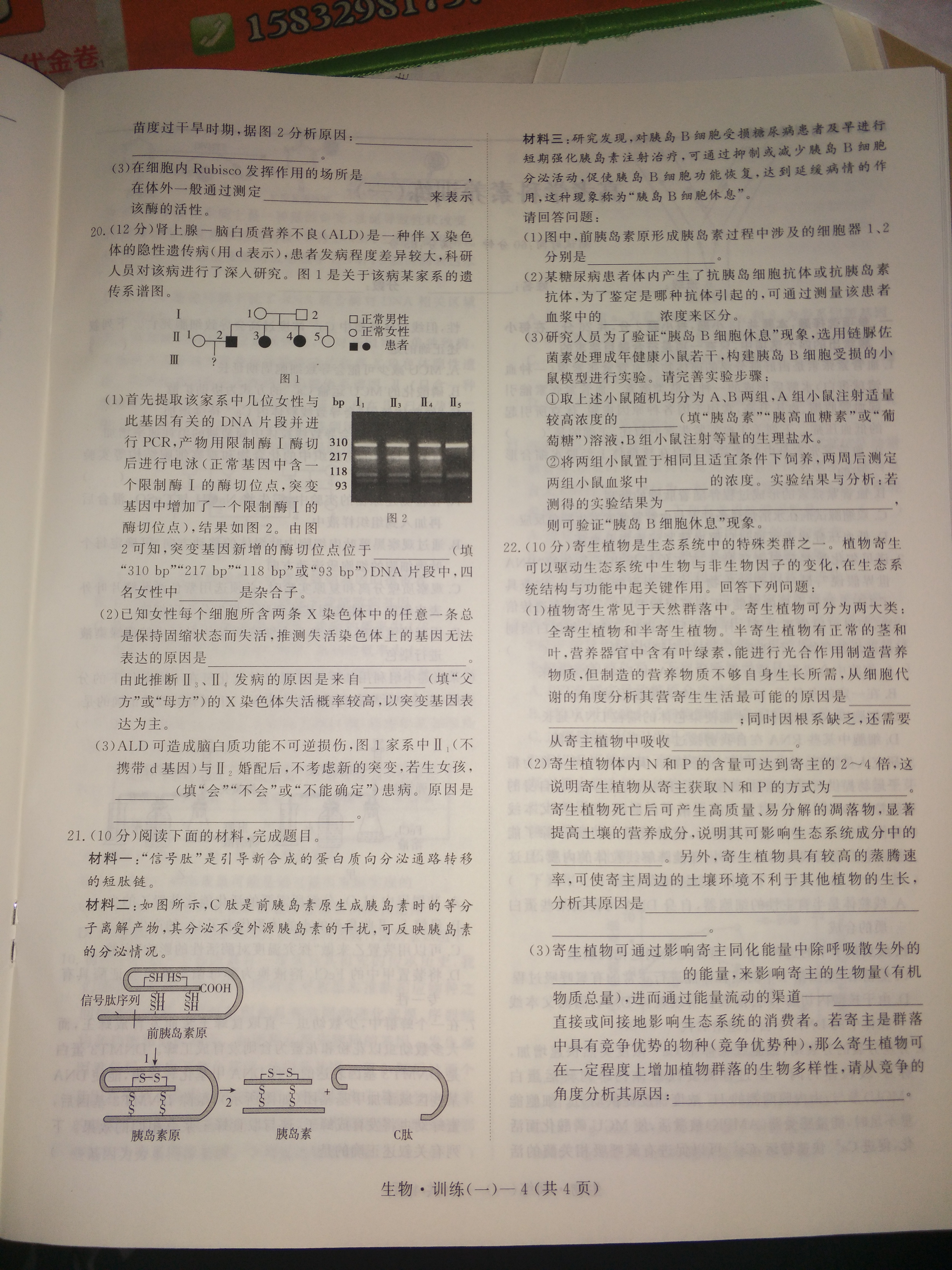 山西省2023~2024学年度八年级上学期阶段评估(一)[1L R-SHX]生物试题