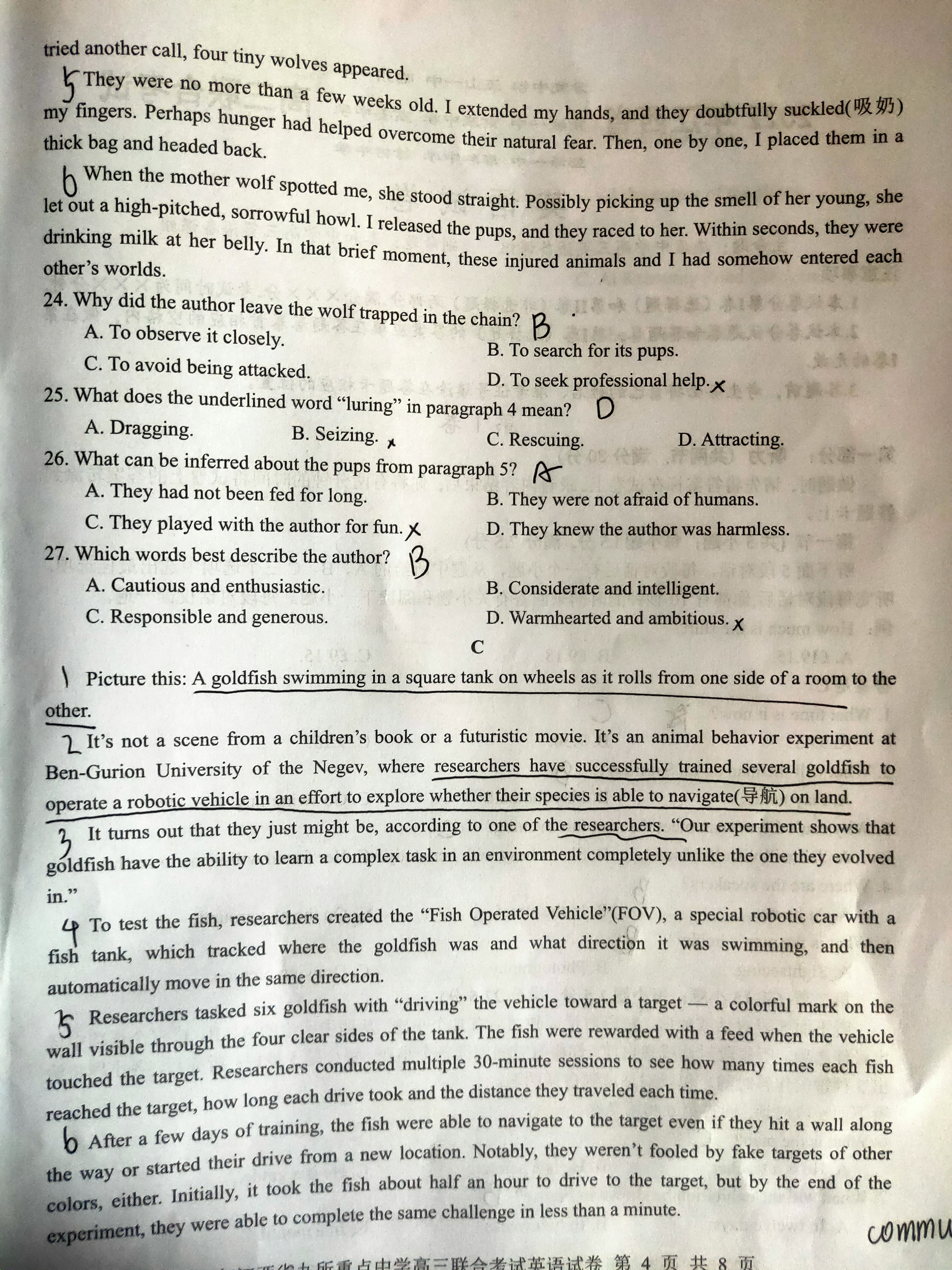 全国100所名校最新高考冲刺卷英语2023届Y1