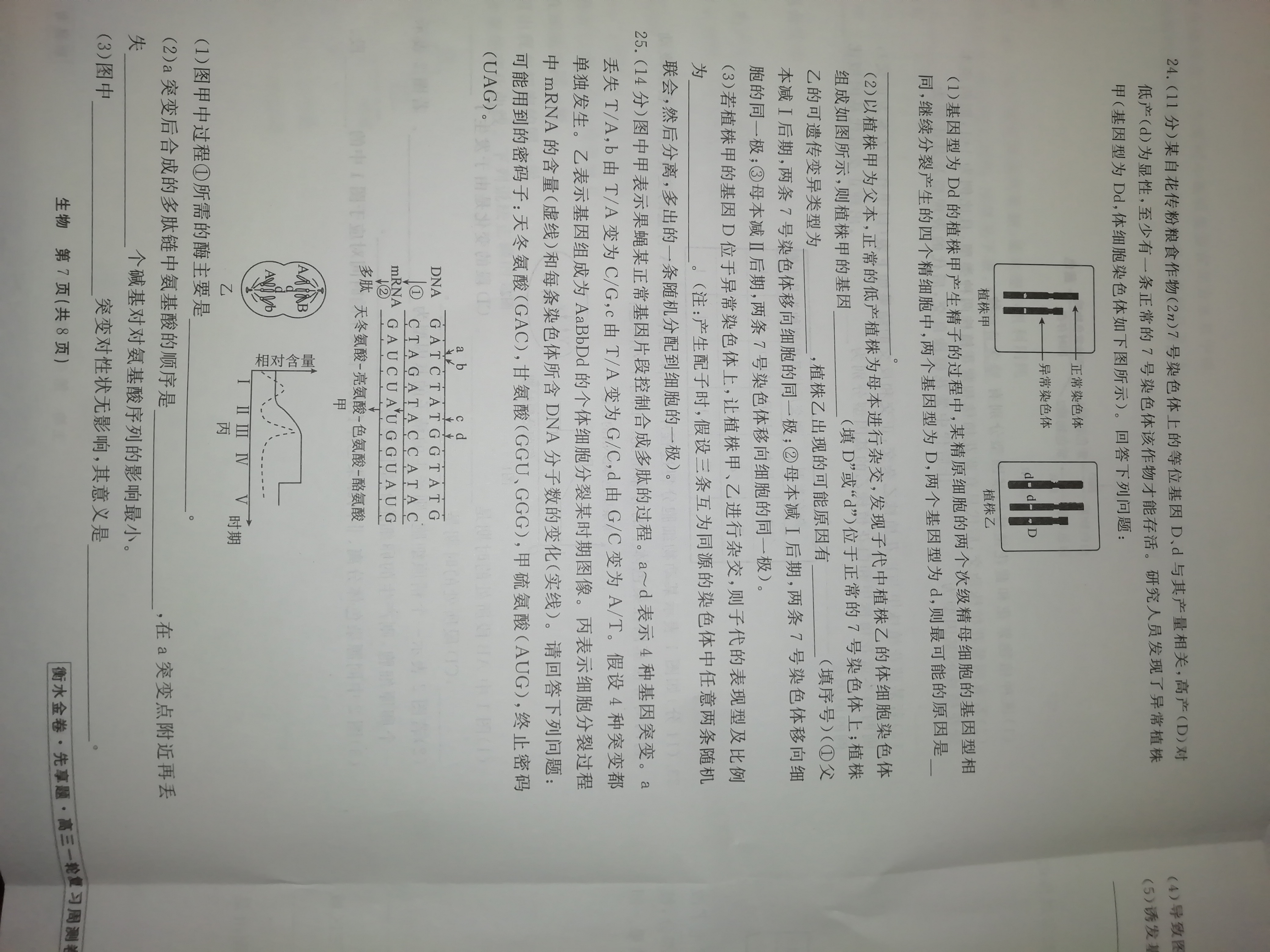 炎德英才大联考·长沙市一中2024届高三月考试卷(三)生物答案