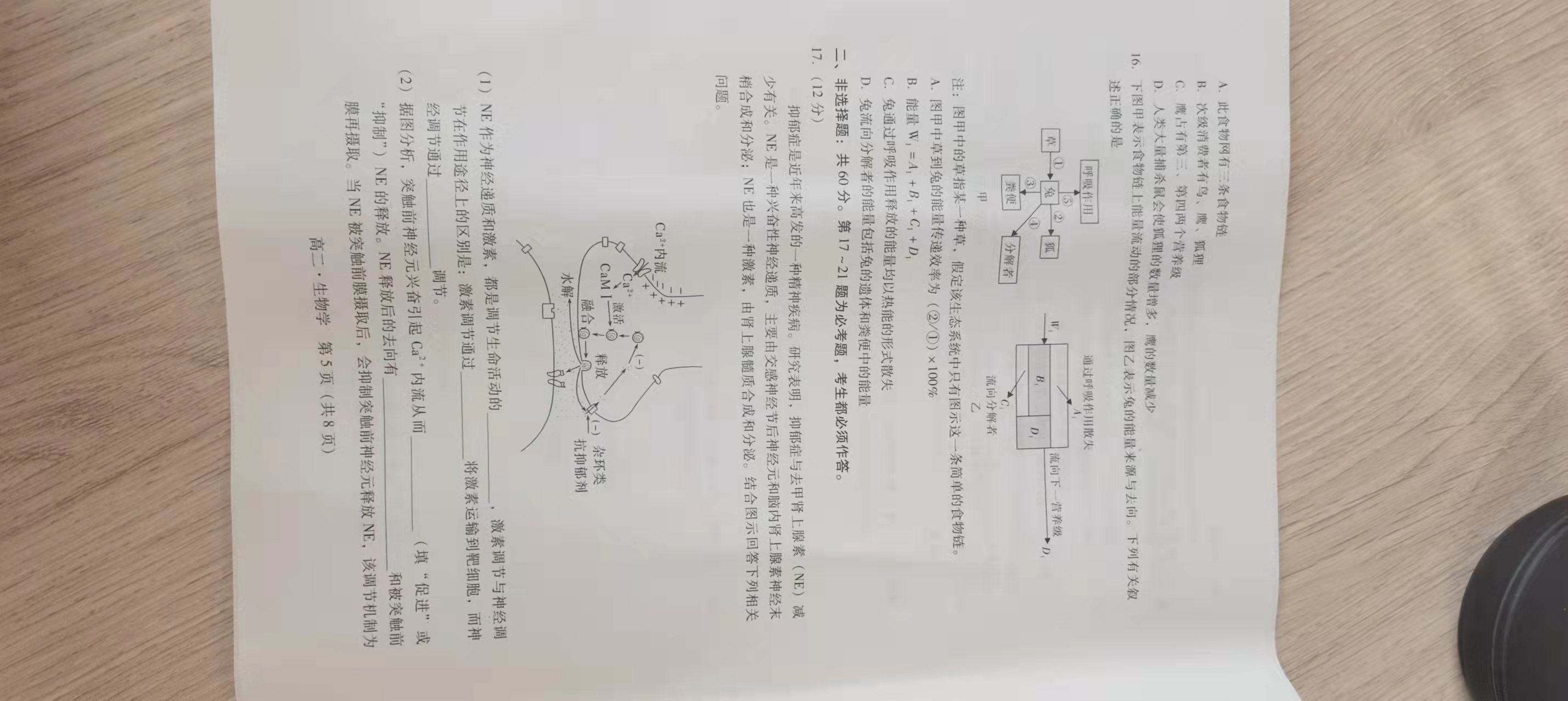 2024届全国高考分科调研模拟测试卷 XGK☾(五)5生物试题