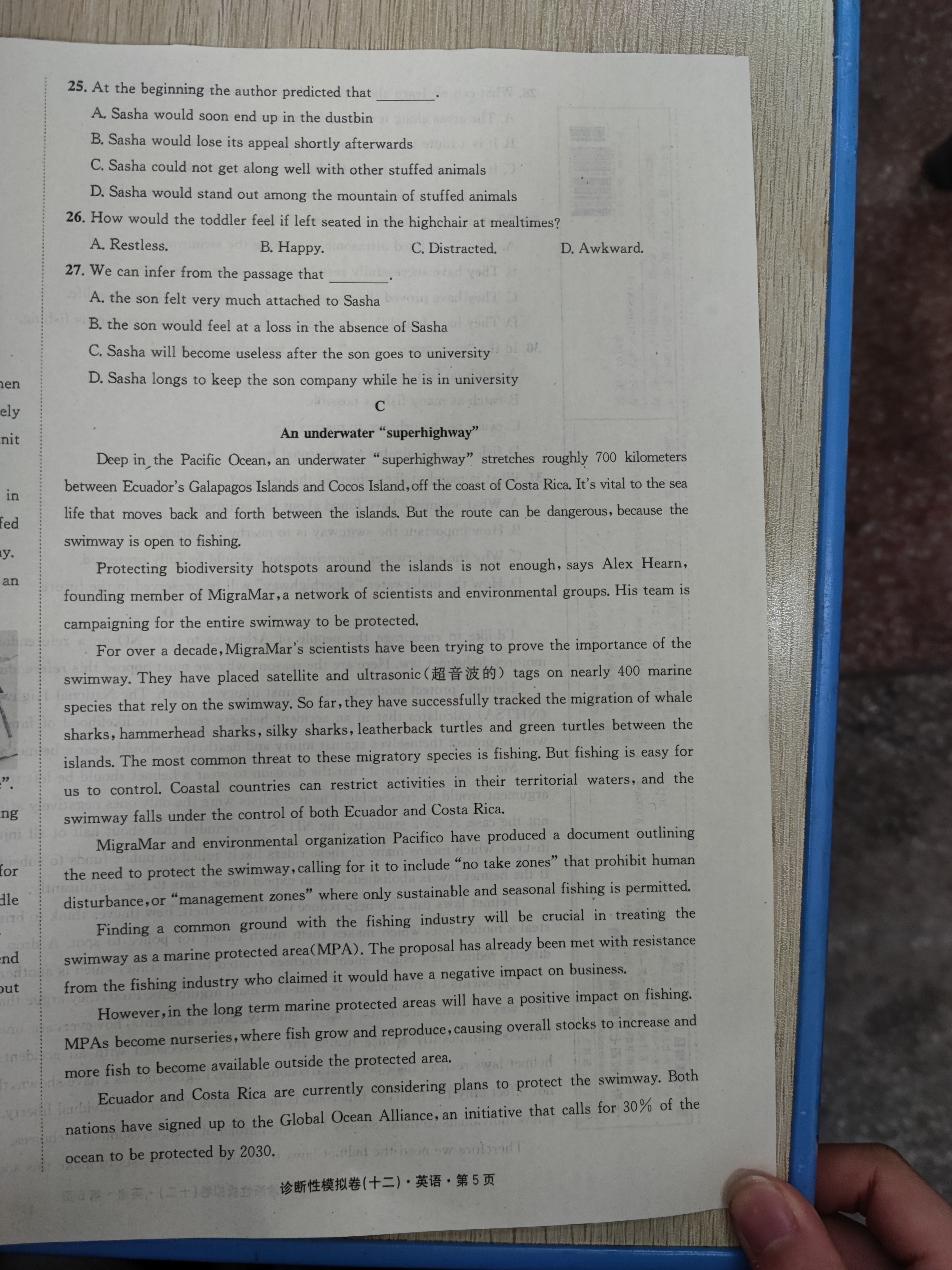 全国100所名校最新高考冲刺卷英语2023届Y1