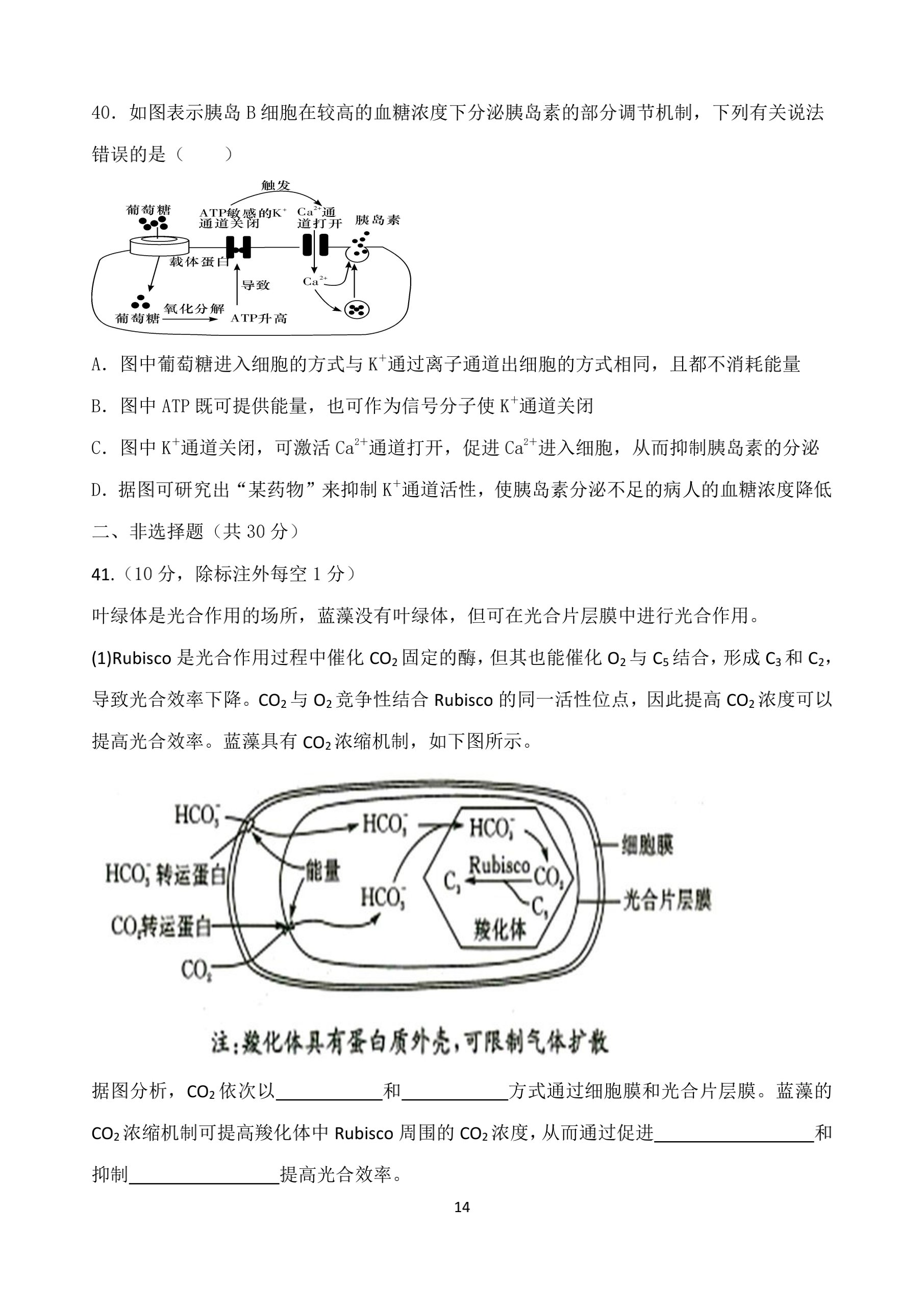 河北省2023~2024学年度七年级上学期阶段评估(一)[1L R-HEB]生物答案