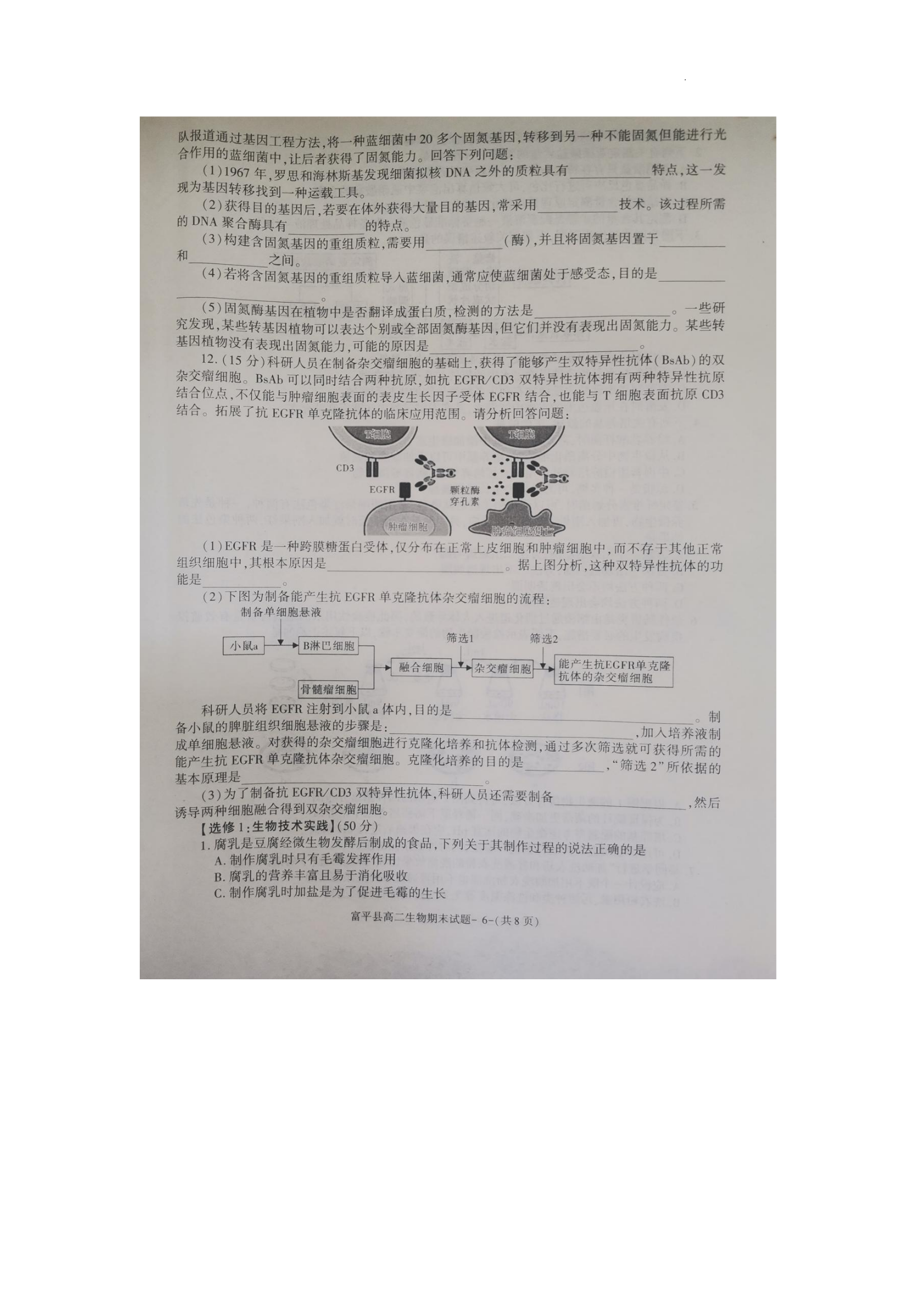 2024高考名校导航金卷(一)生物答案核对