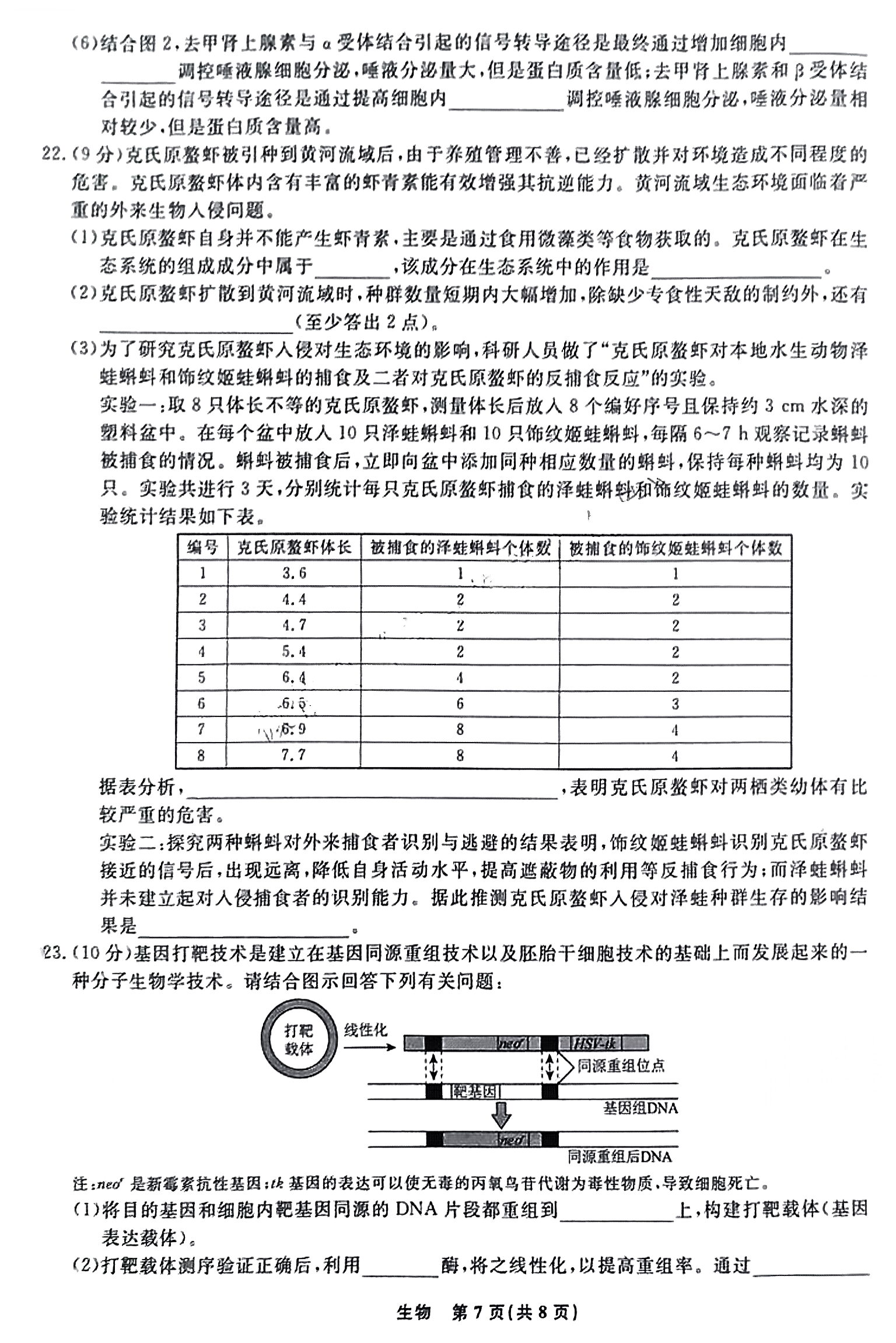 九师联盟 2024届高三9月质量检测生物X答案