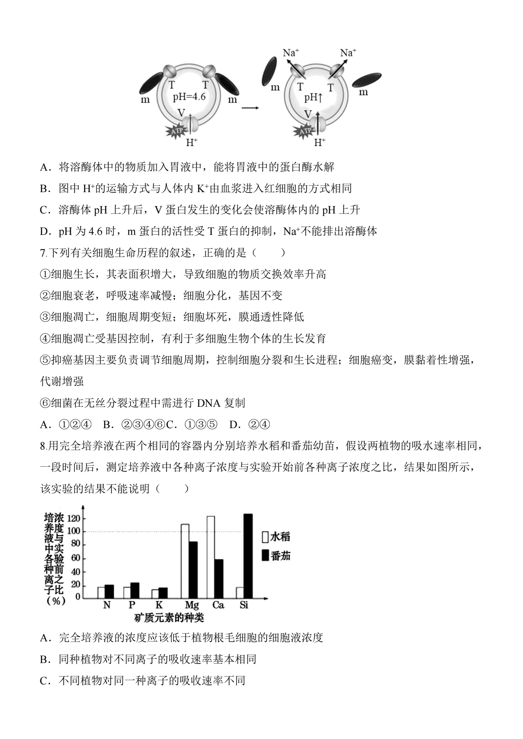 百校名师·2024普通高中高考模拟信息卷(一)生物答案