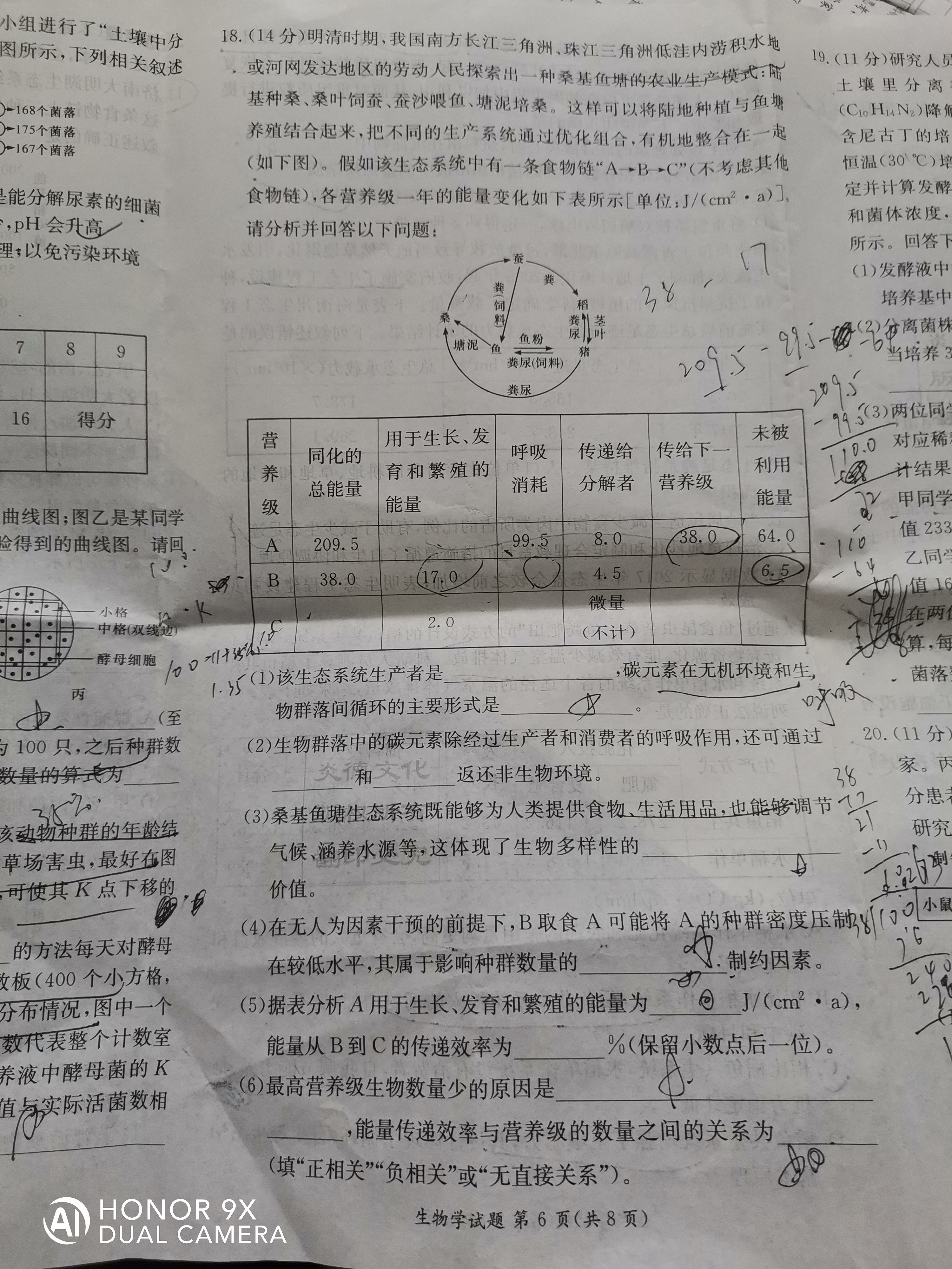 2024届全国100所名校单元测试示范卷·生物[24·G3DY(新高考)·生物-LKB-必考-HUB]七试题