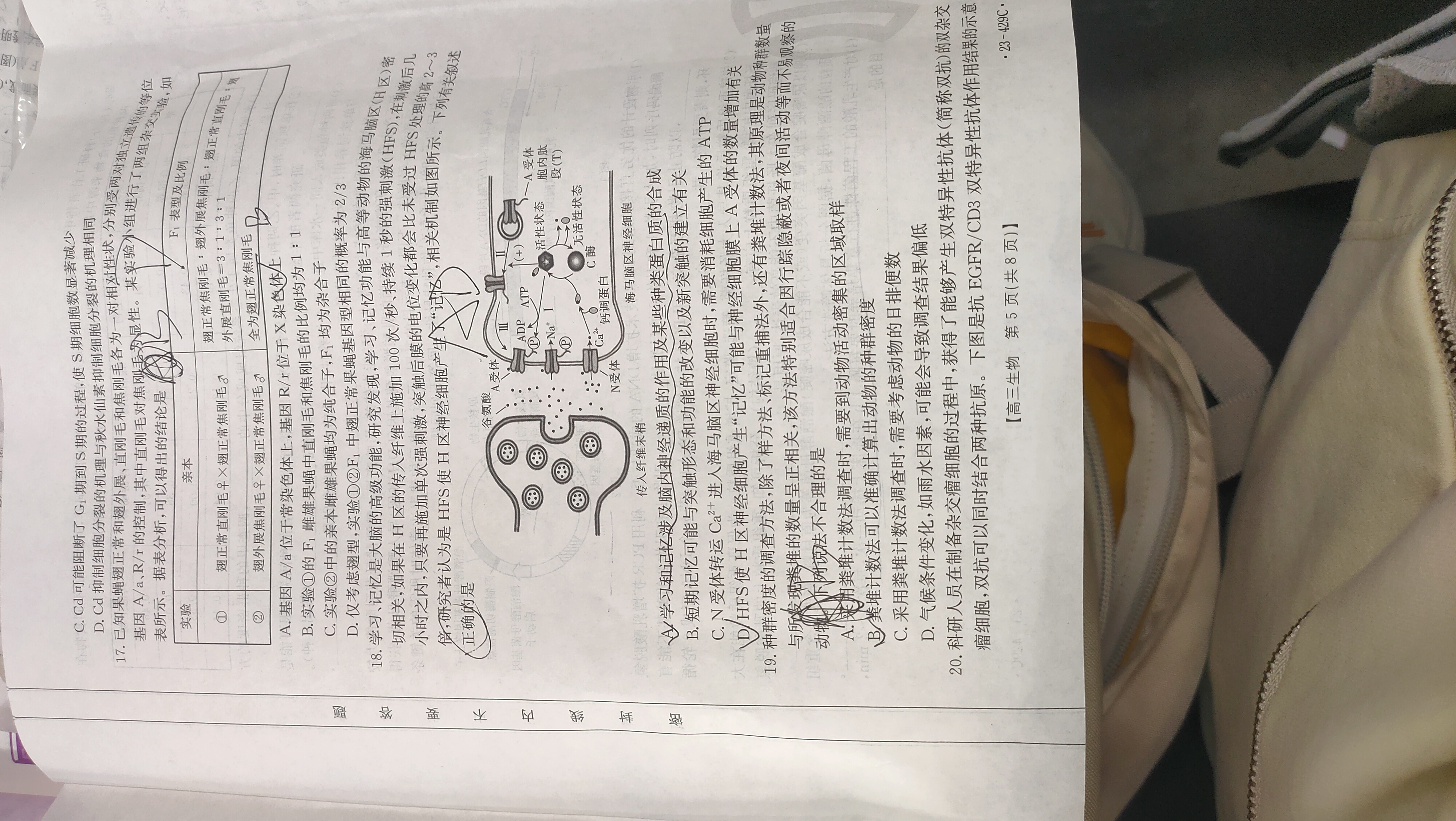 2024届全国100所名校单元测试示范卷·生物[24·G3DY(新高考)·生物-SJB-必考-HEB]八试题