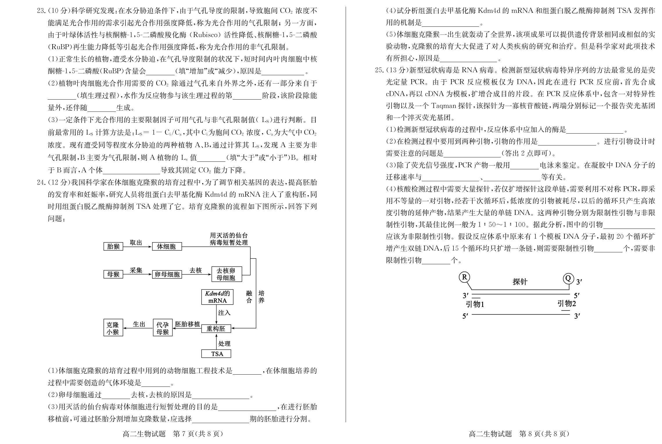 炎德英才大联考(一中版)长沙市一中2024届高三月考试卷(二)2生物试题
