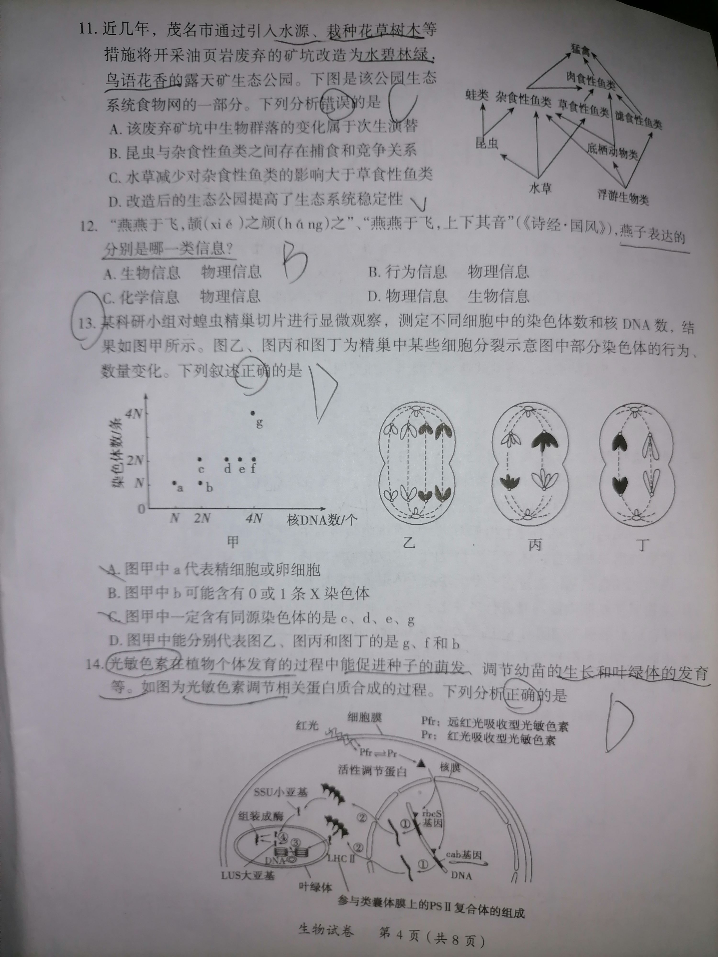 衡水名师卷·2023-2024学年度高三分科检测提分卷 生物(一)试题