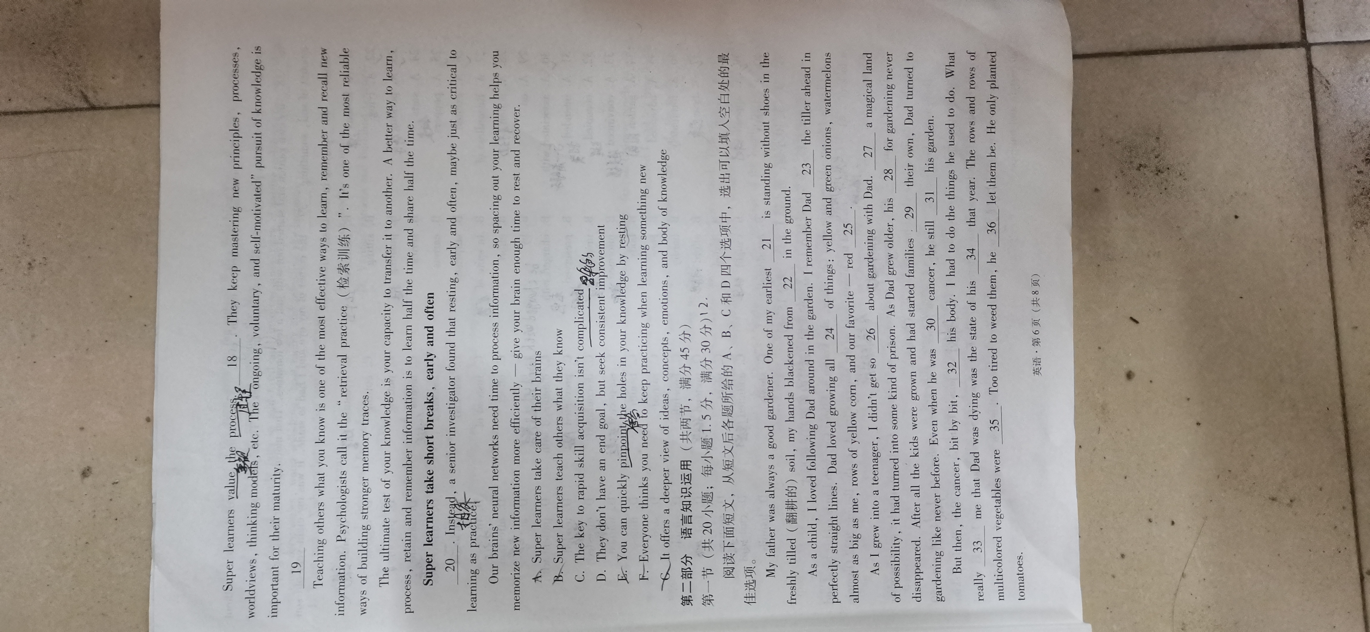 国考1号5·2024届高三阶段性考试(二)英语试题