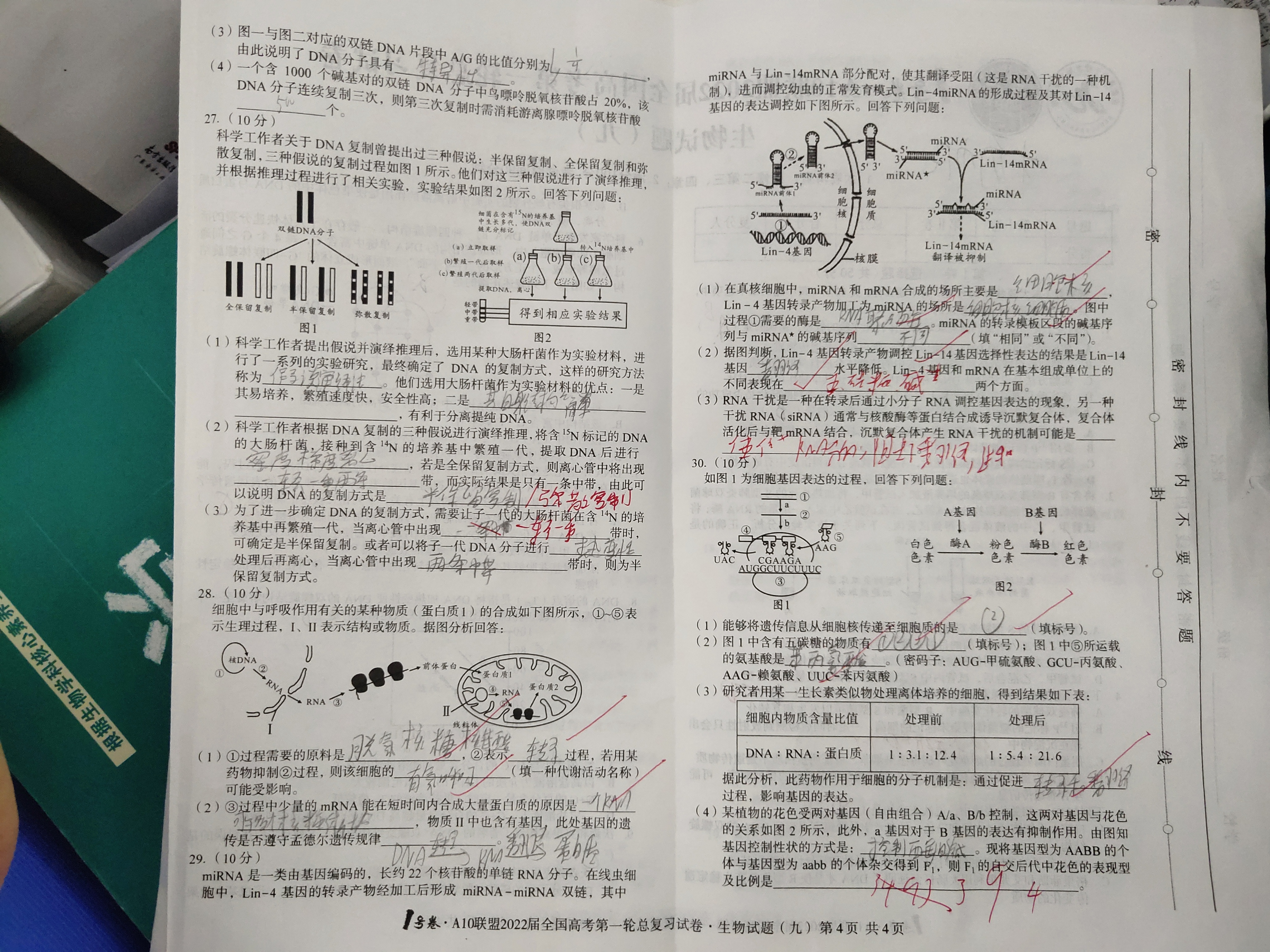[南充零诊]南充市高2024届高考适应性考试(零诊)生物答案查看
