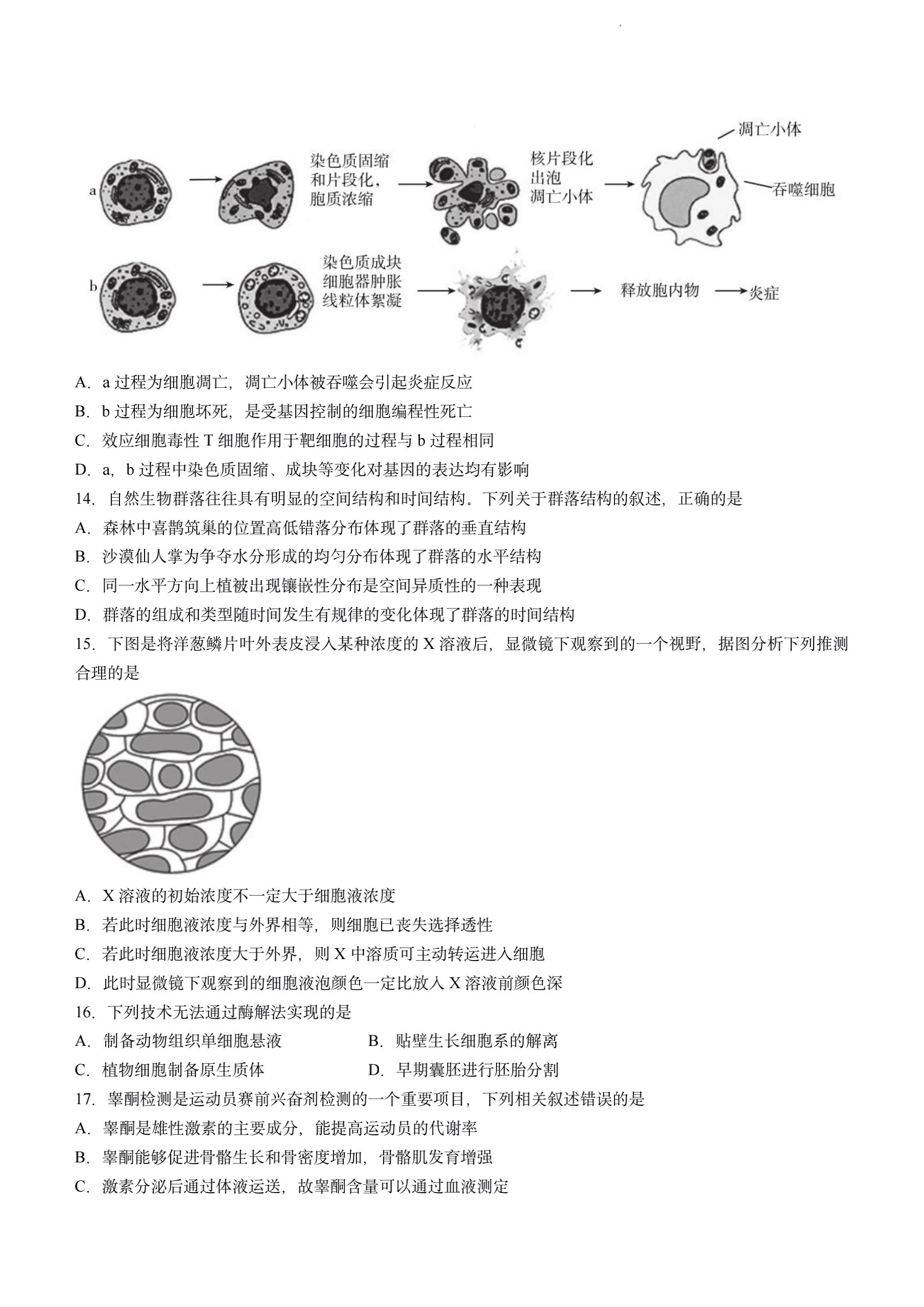 2024届新高考模拟检测卷F-XKB(三)3生物答案