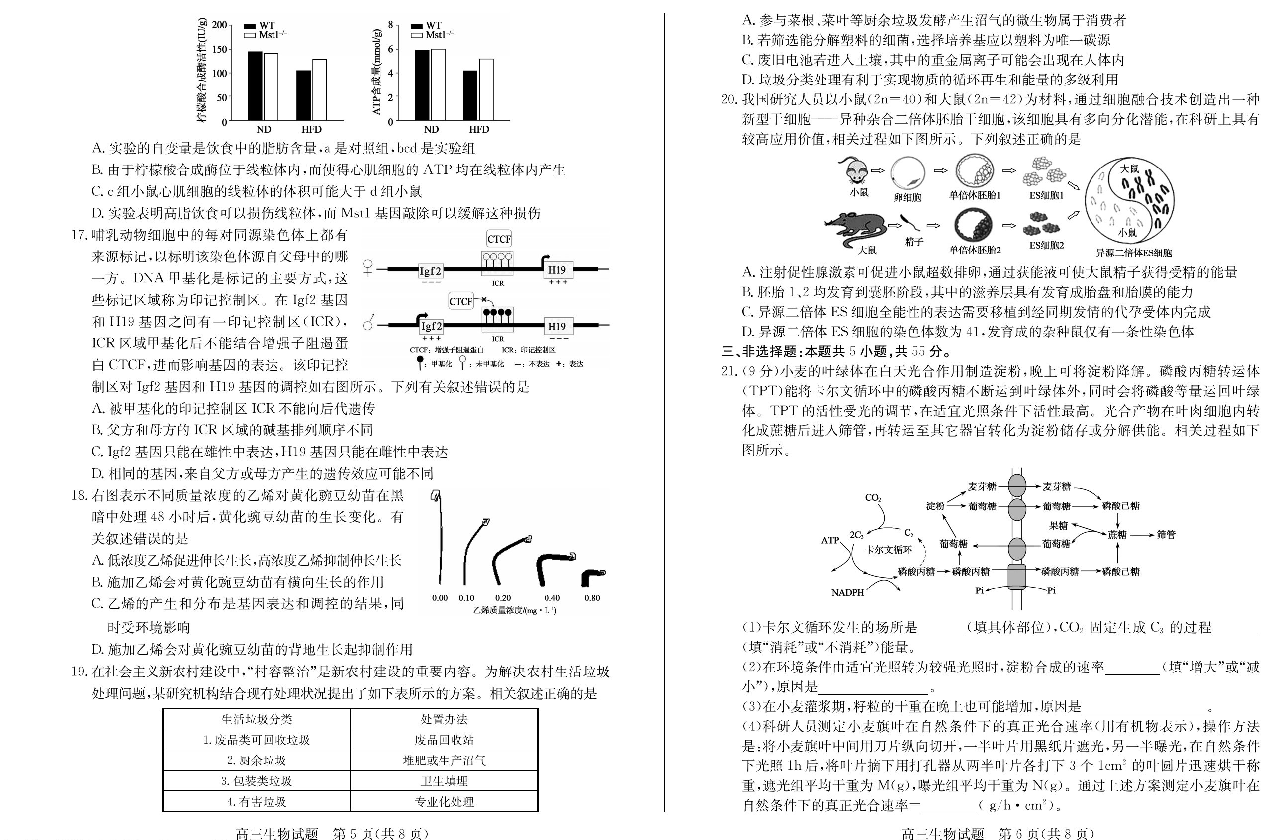 江西省2023-2024学年度九年级阶段性练习(一)生物试题