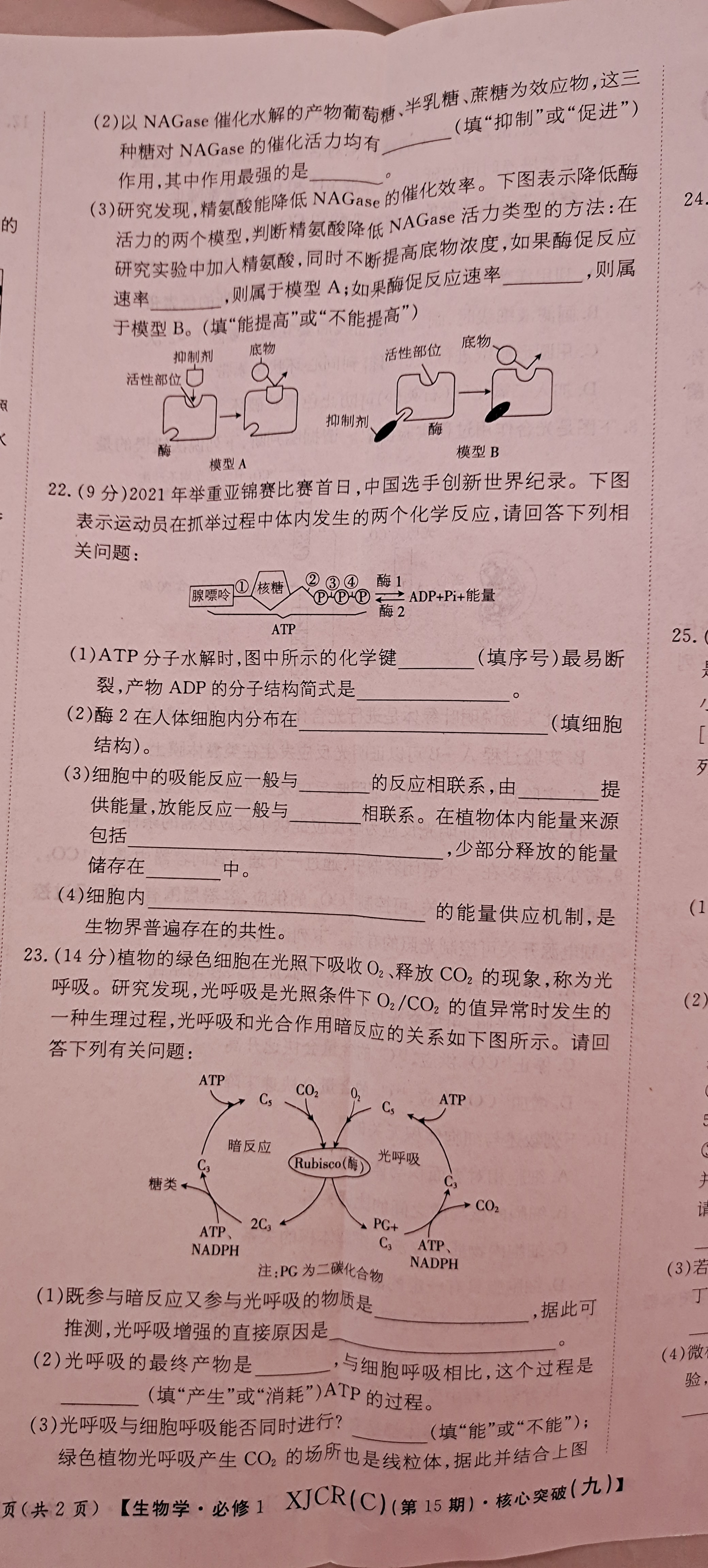 金科大联考·2024届高三10月质量检测(24045C)生物试题