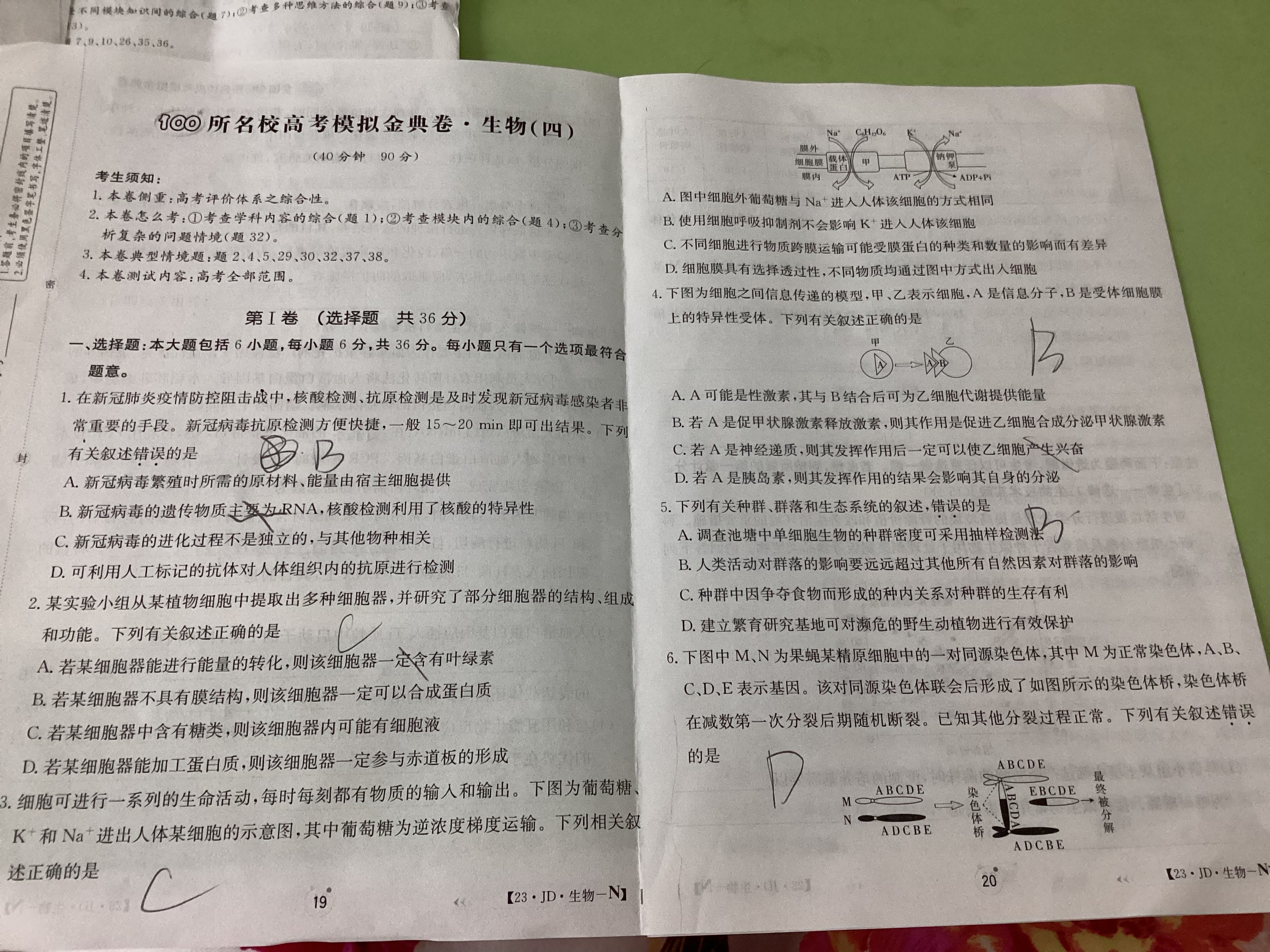 2024届全国100所名校单元测试示范卷·生物[24·G3DY(新高考)·生物-SJB-必考-HUN]一试题