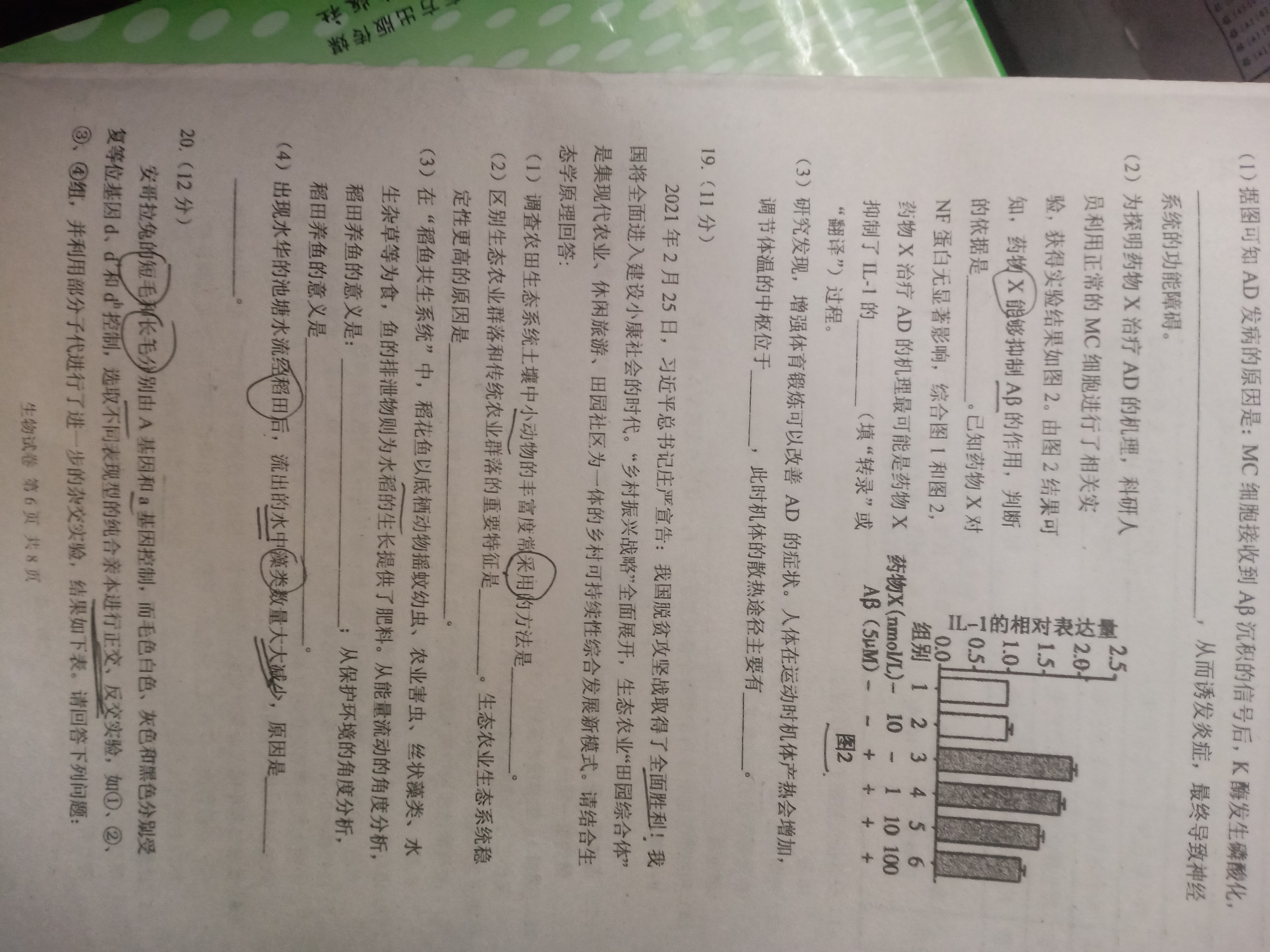名校大联考·2024届普通高中名校联考信息卷(月考一)生物试题