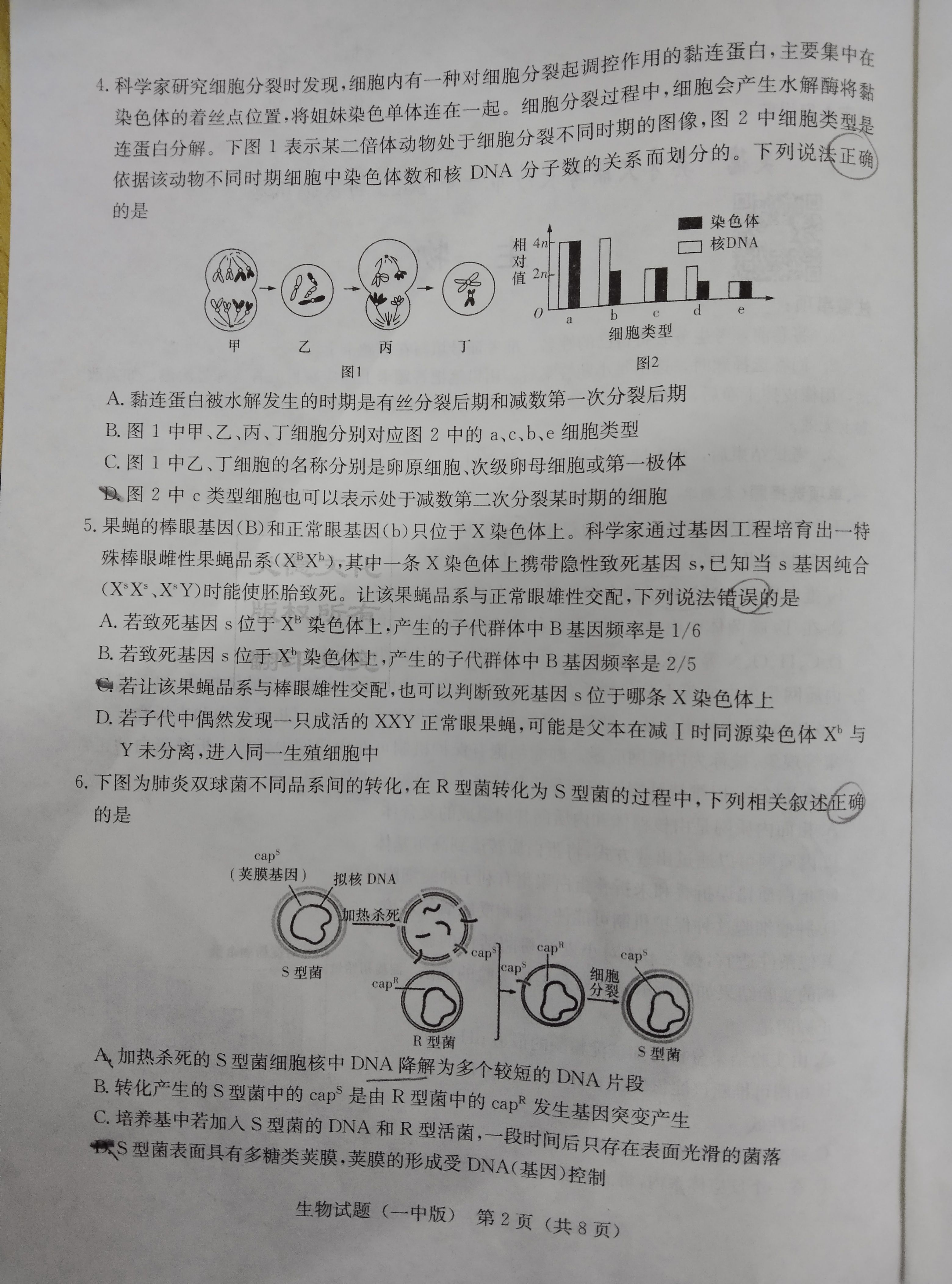 衡中同卷·2023-2024学年度上学期高三年级一调考试 生物(新教材版)试题
