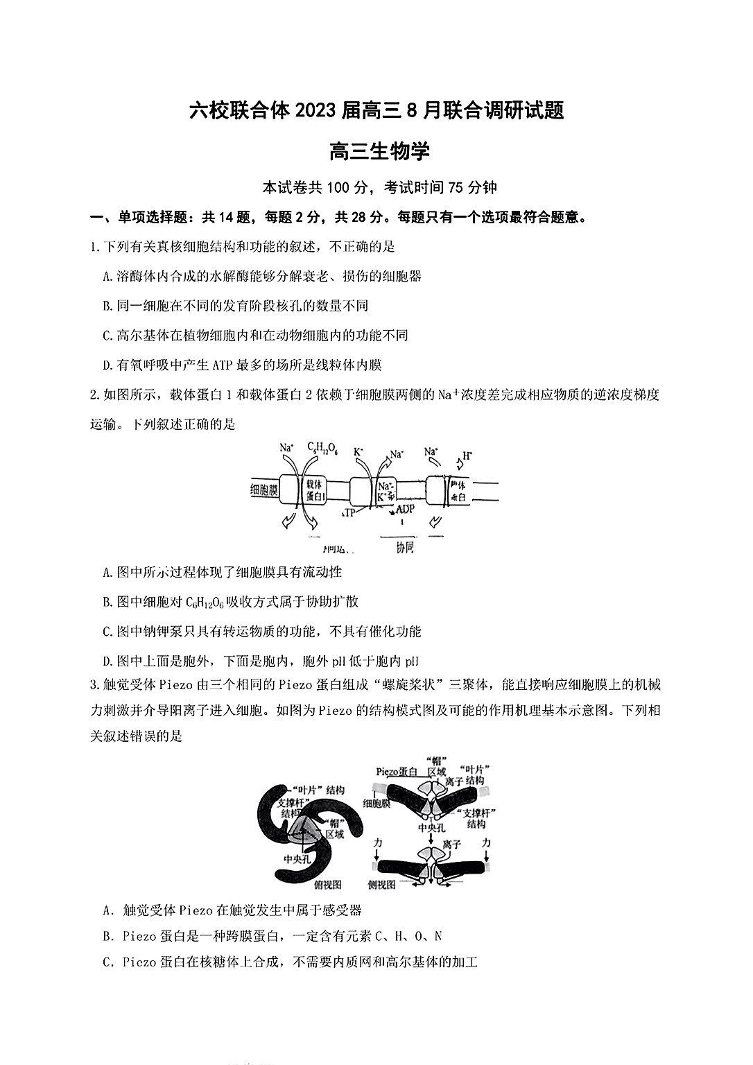 2024届全国100所名校单元测试示范卷·生物[24·G3DY(新高考)·生物-R-必考-FJ]四试题