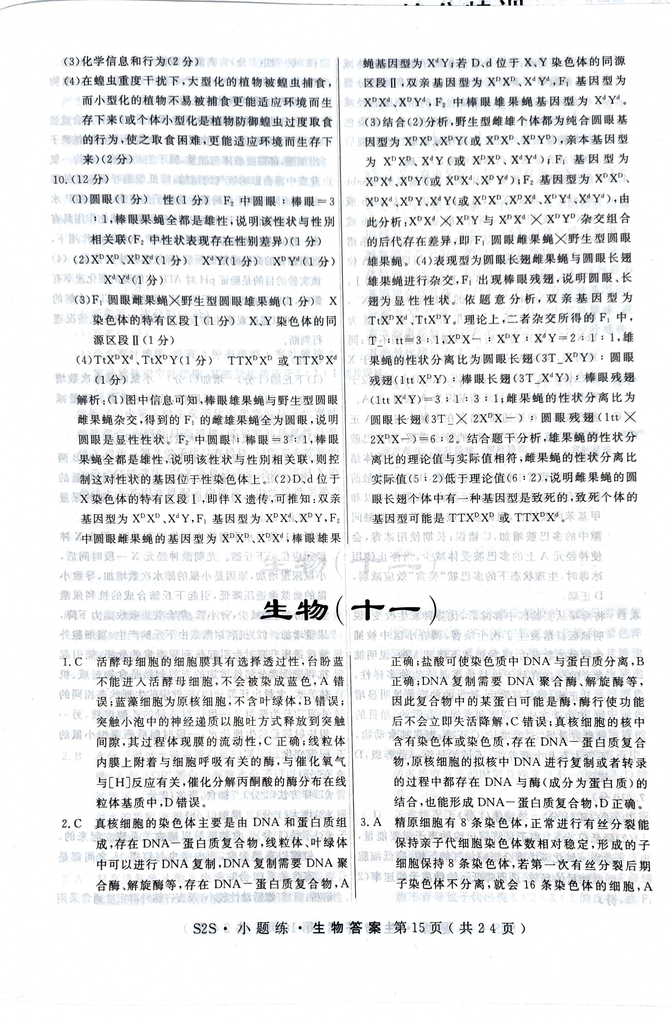 河南省2023～2024学年度九年级综合素养评估(一)[PGZX C HEN]生物试题