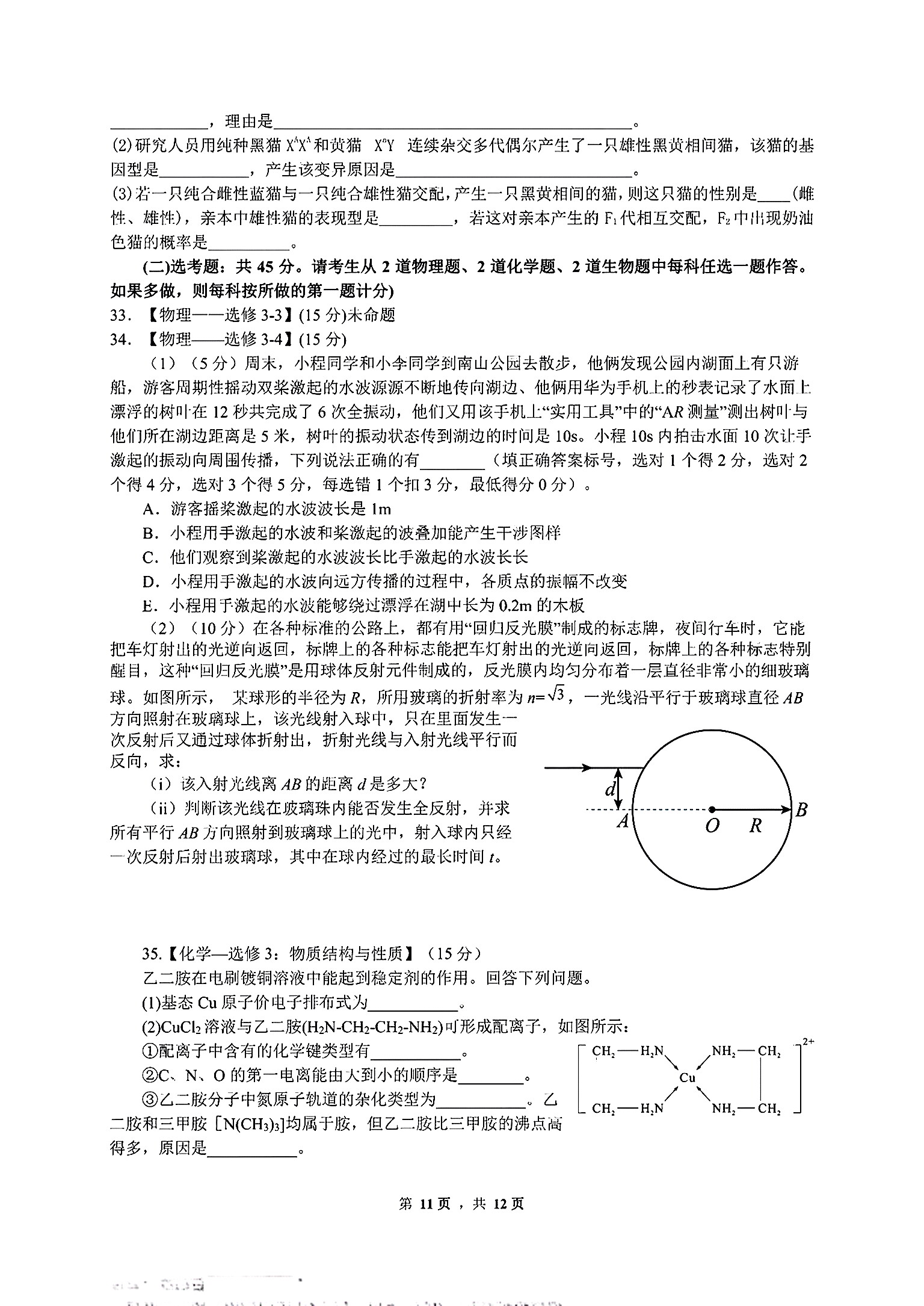 2024届衡中同卷[调研卷](二)2理科综合(新教材版B)答案