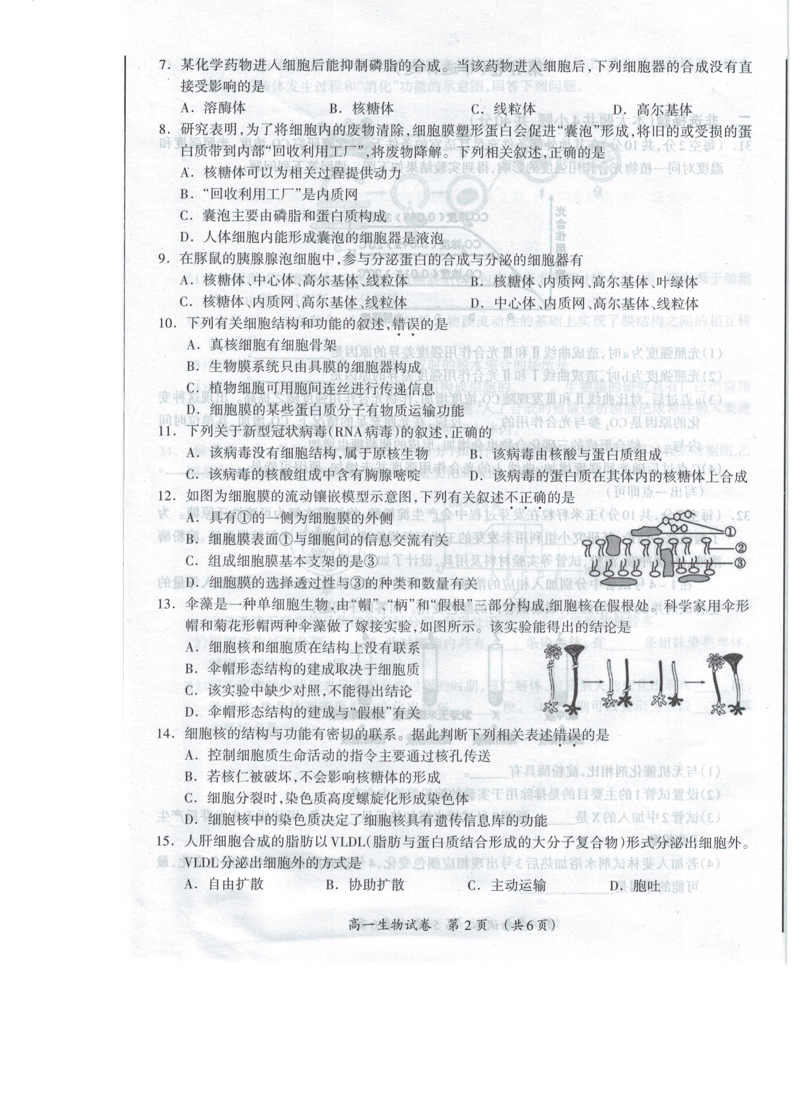 陕西省2023-2024学年度高一年级第一学期阶段性学习效果评估生物试题