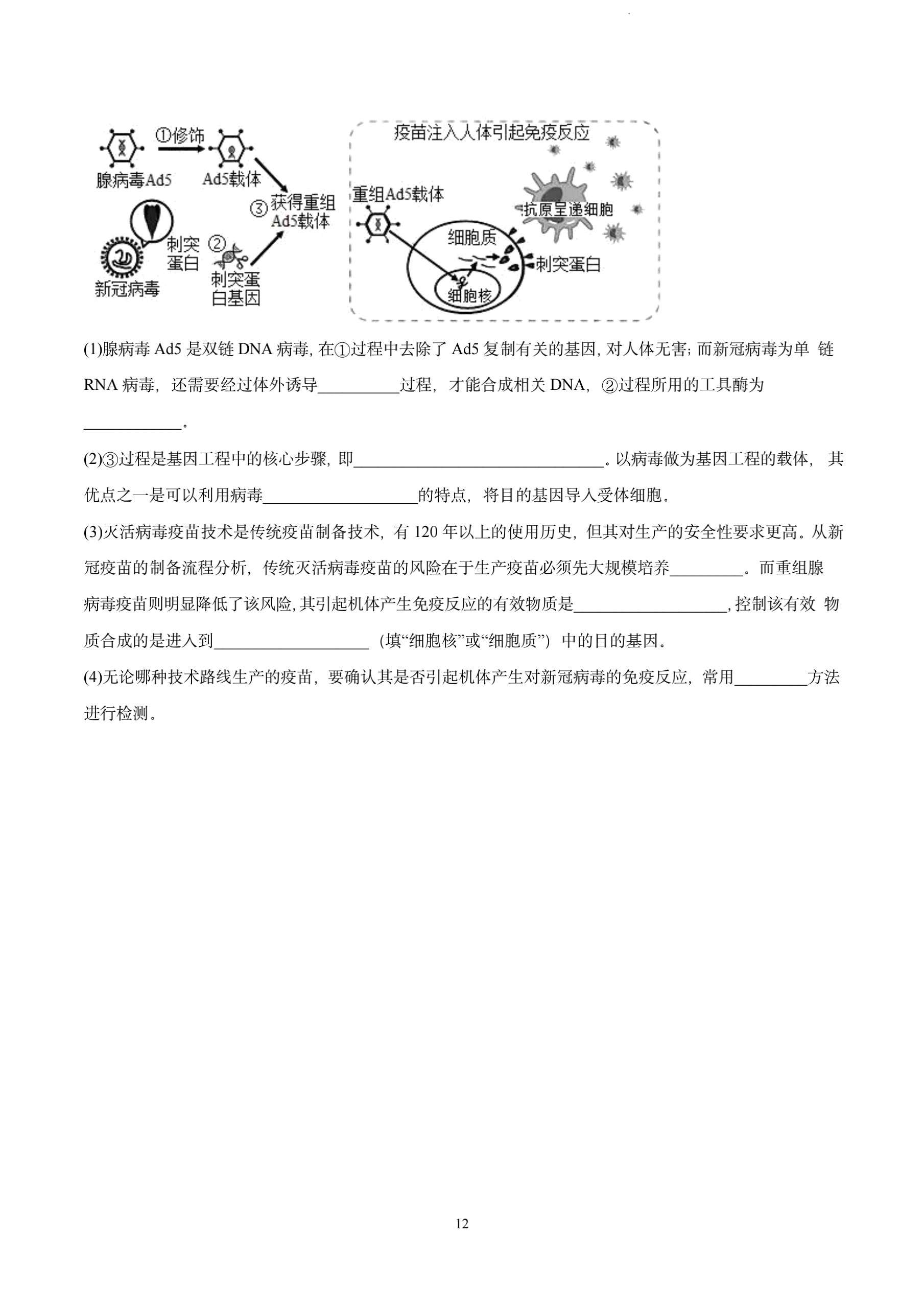衡水金卷先享题·月考卷 2023-2024学年度上学期高三年级二调考试[新教材]生物学答案