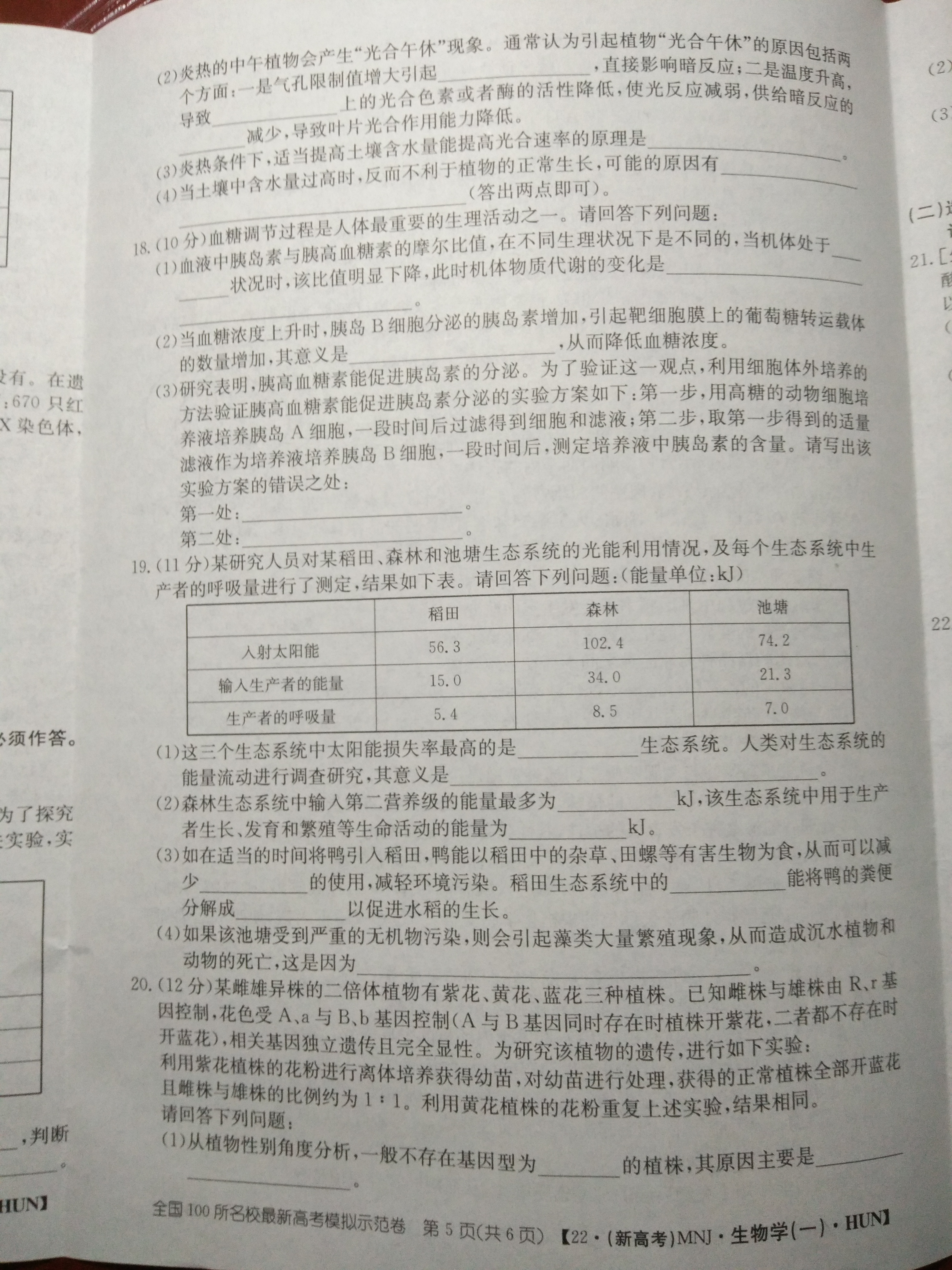 2024届新高考模拟检测卷F-XKB(三)3生物试题