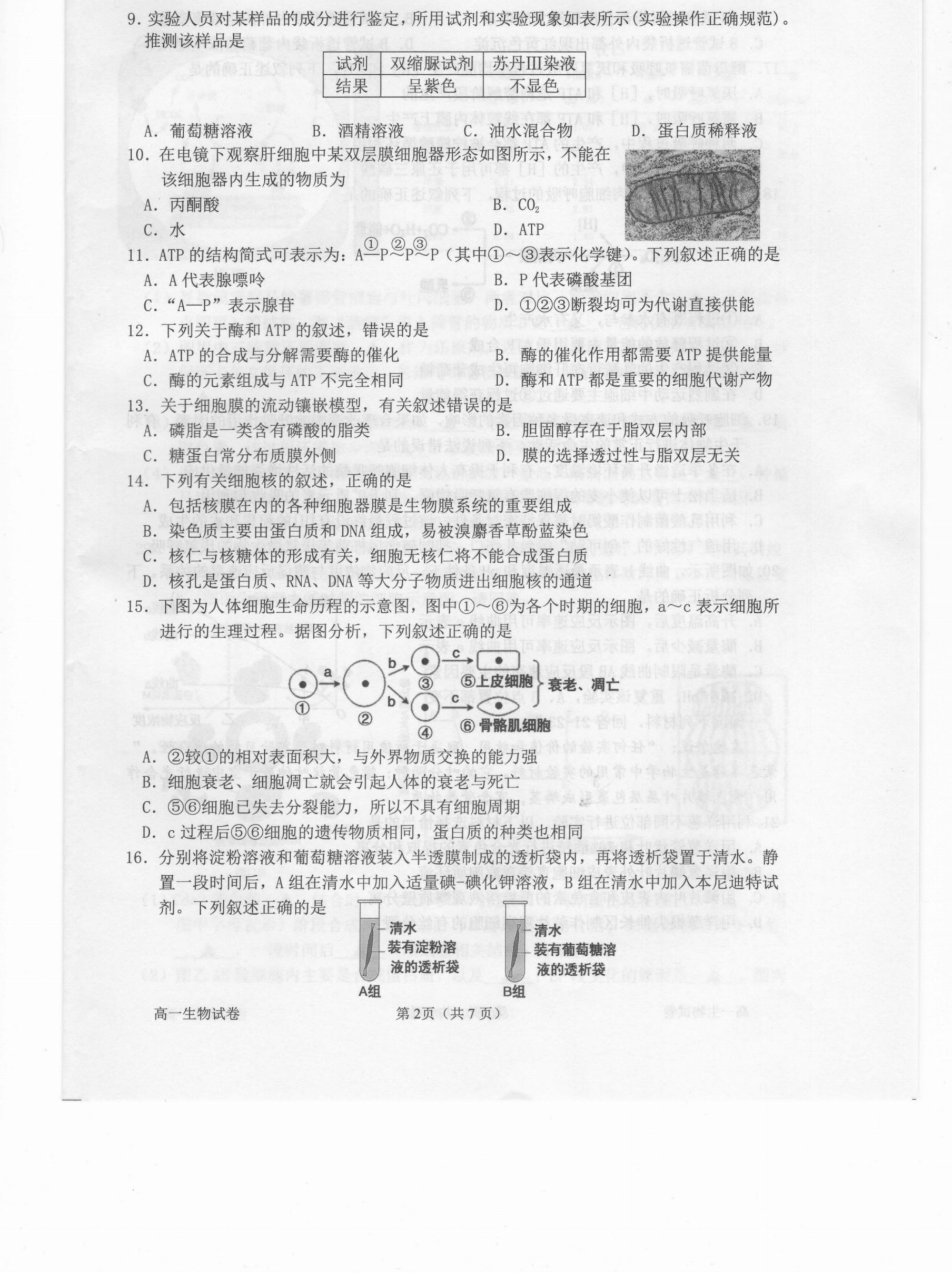 名校联考联合体2024届高三第二次联考生物试卷及参考答案