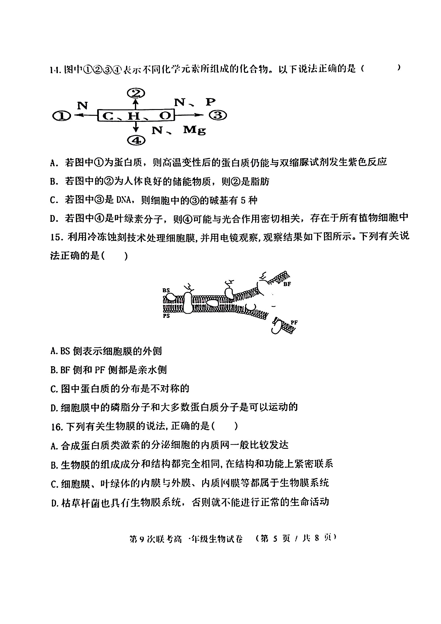 炎德 英才大联考湖南师大附中2024届高三月考试卷(一)生物答案